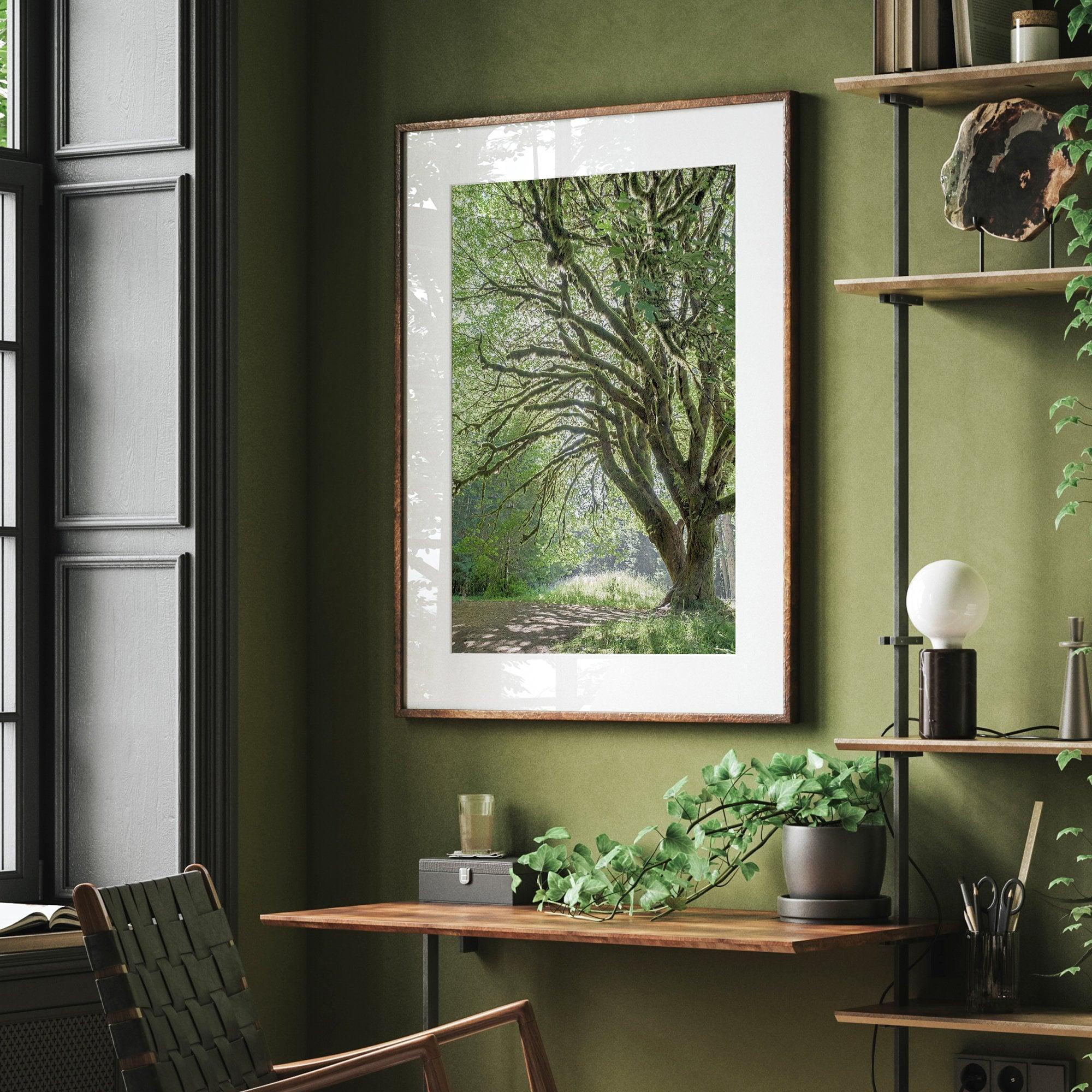 A fine art forest photography print of a magical tree in Hall of Mosses, Olympic National Park, Washington.