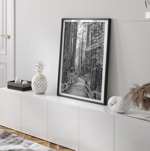 A fine art black and white photograph showcasing a pathway winding through a grove of immense redwood trees in Muir Woods, California. The towering trunks and lush canopy create a serene and magical atmosphere in this forest wall art.