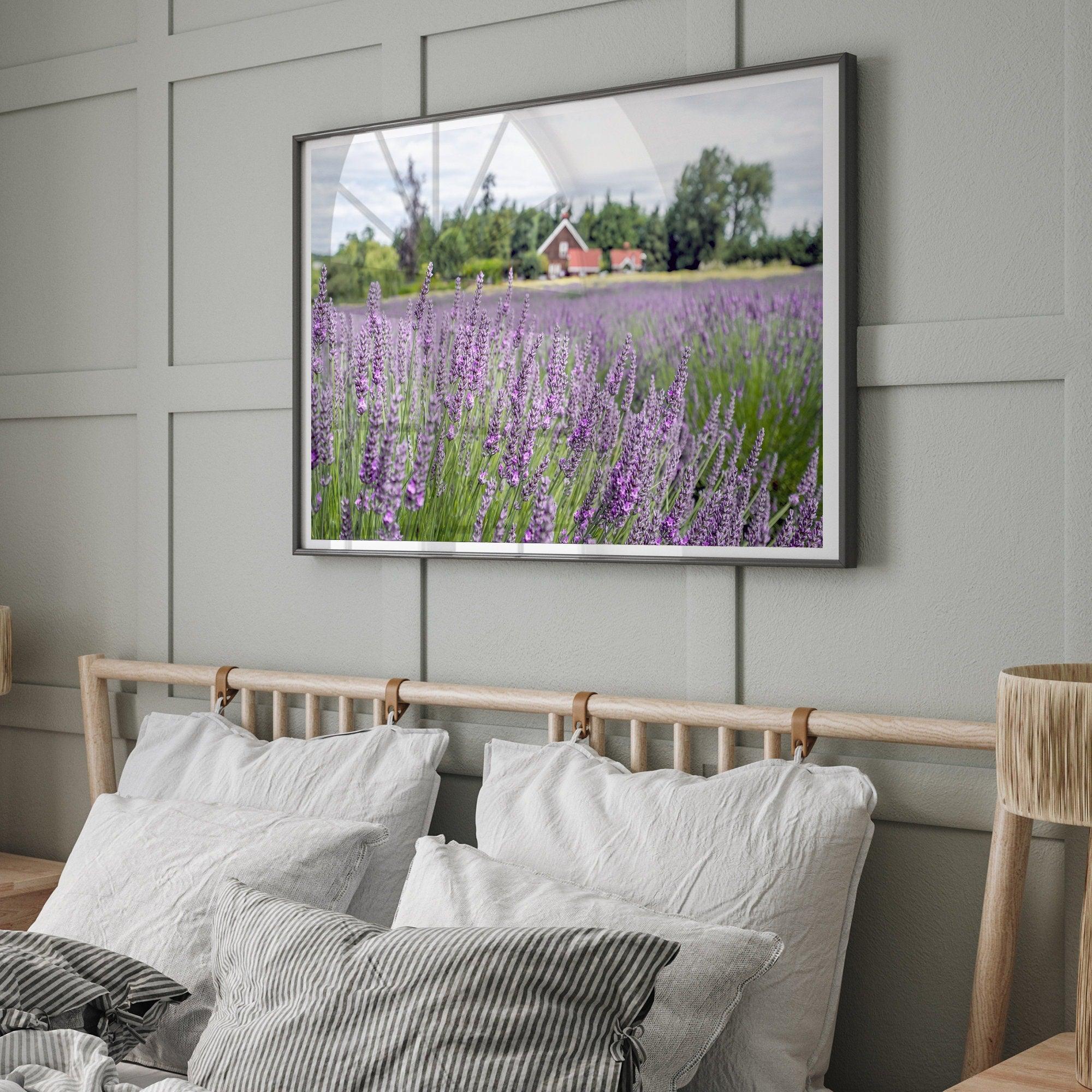 A fine art, colorful, vivid print of a lavender field stretching as far as the eye could see. Add purple and pink hues to your home or office with this floral wall art.