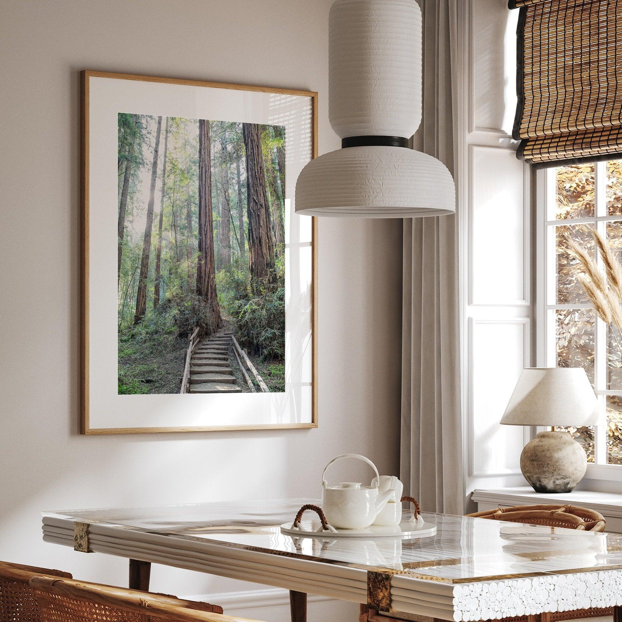 A mesmerizing framed or unframed forest print of a climbing trail through the redwood trees in the American Northwest with the Sun shining through the forest.