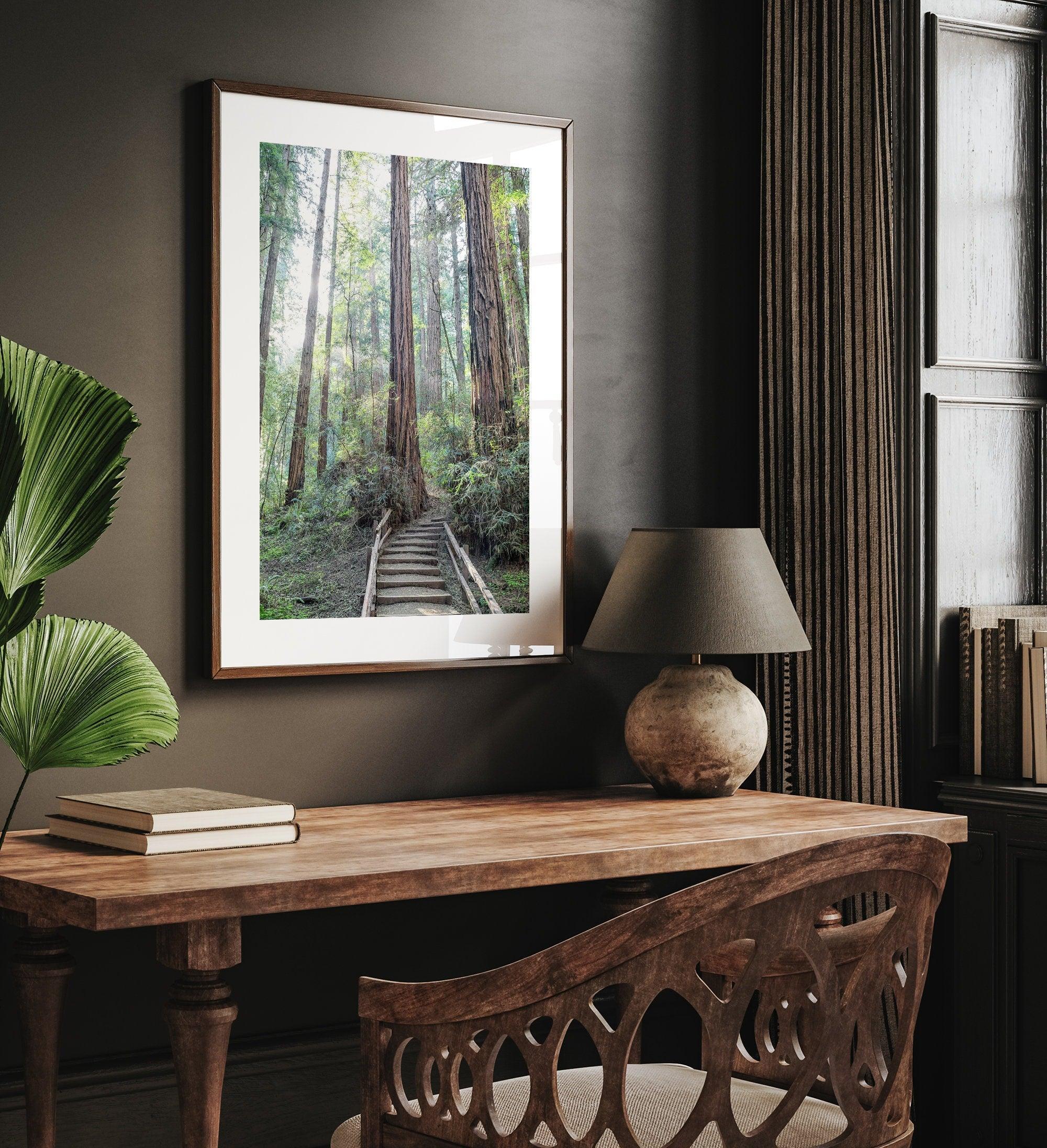 A mesmerizing framed or unframed forest print of a climbing trail through the redwood trees in the American Northwest with the Sun shining through the forest.