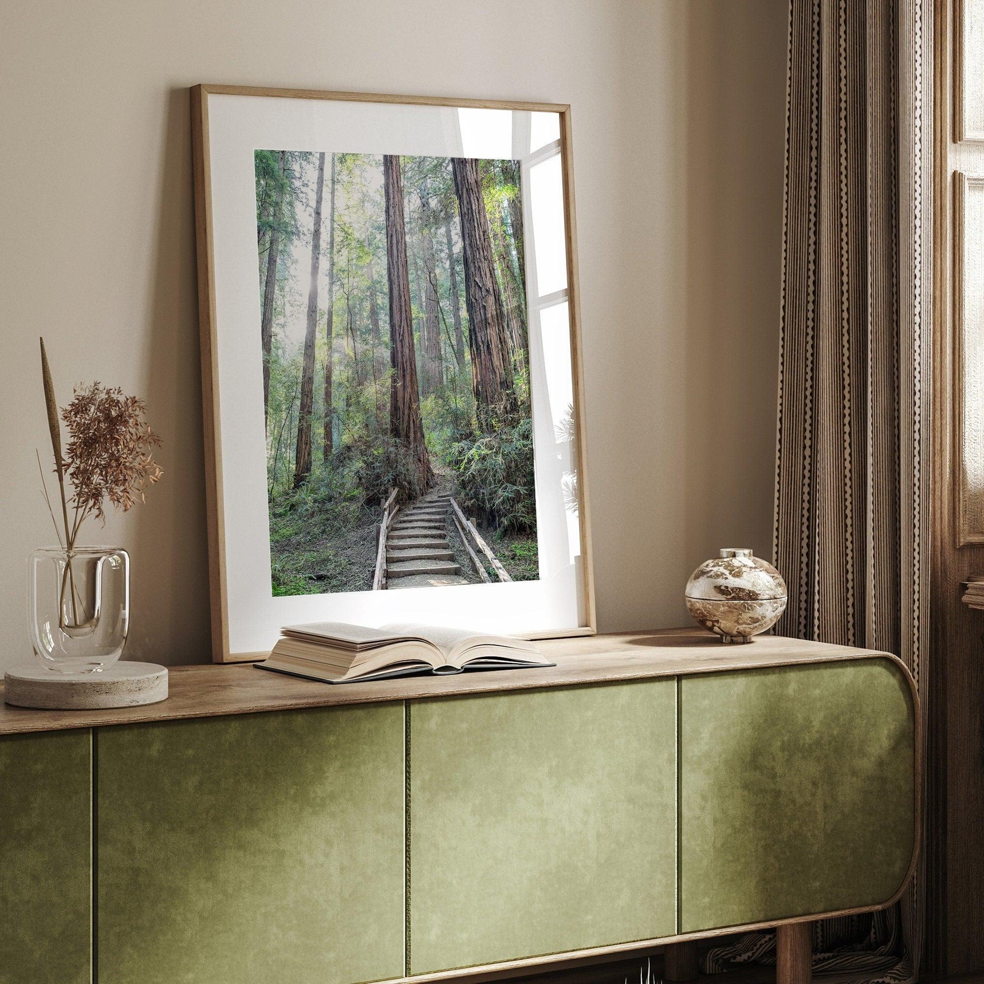 A mesmerizing framed or unframed forest print of a climbing trail through the redwood trees in the American Northwest with the Sun shining through the forest.