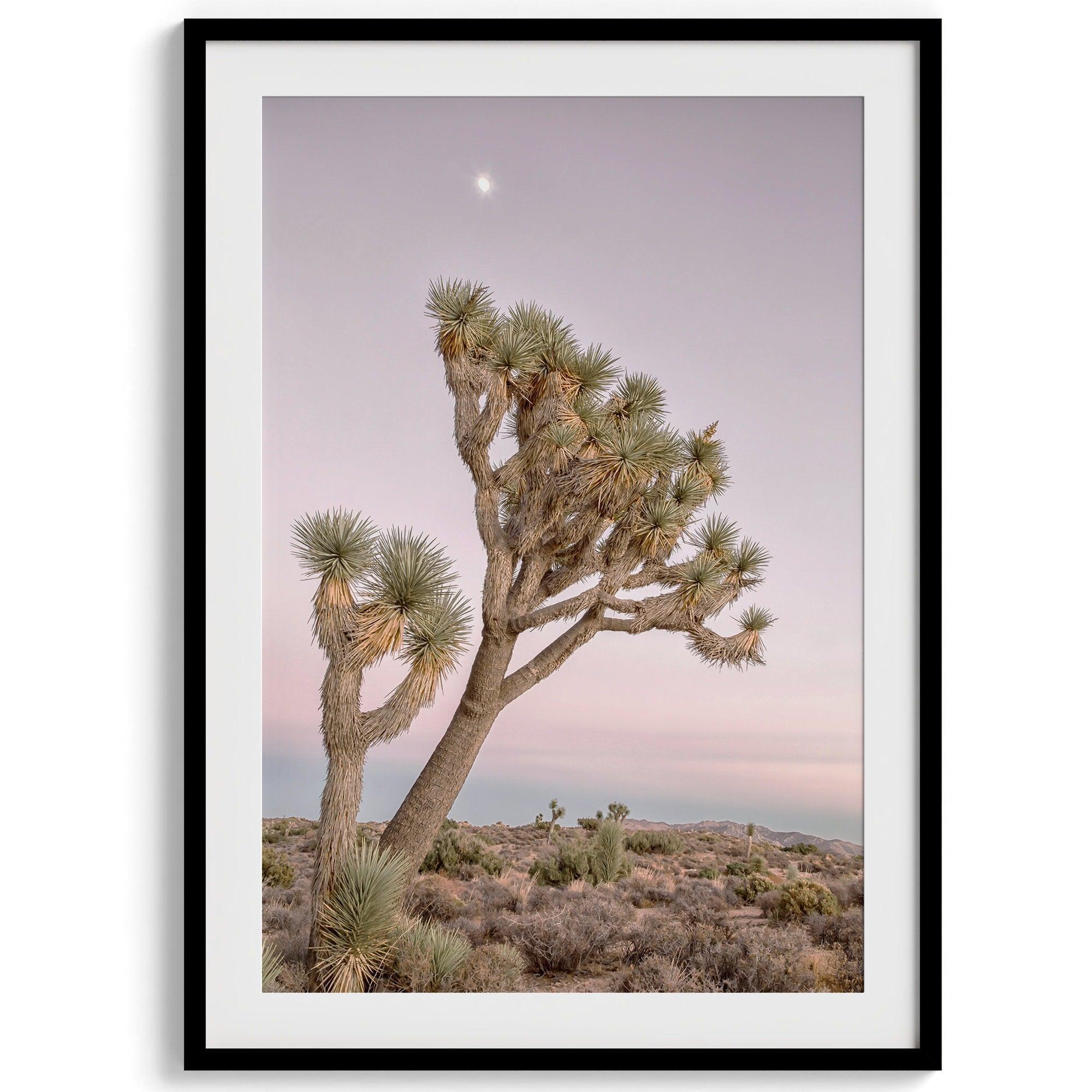 A fine art California desert print in a portrait orientation of a breathtaking Joshua Tree standing alone in a vibrant pink and purple sunset with the moon picking on top of it.