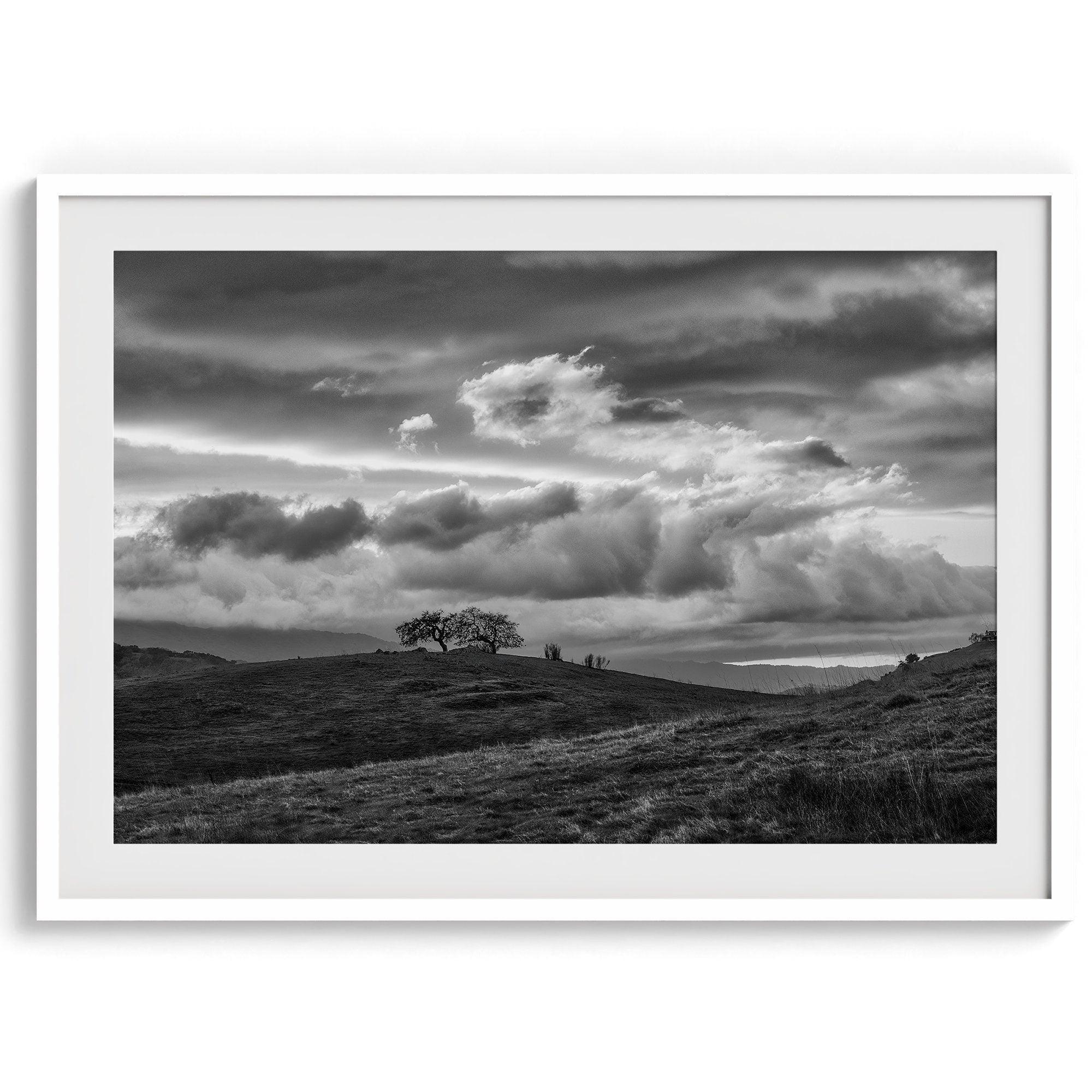 A fine art black and white moody landscape photography print showing a lone tree standing atop a hill in California against a dramatic cloudy sky in this black and white fine art landscape wall art.