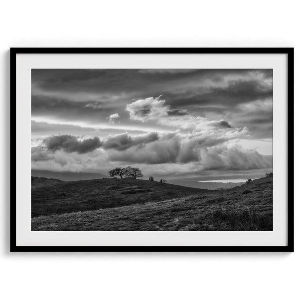 A fine art black and white moody landscape photography print showing a lone tree standing atop a hill in California against a dramatic cloudy sky in this black and white fine art landscape wall art.