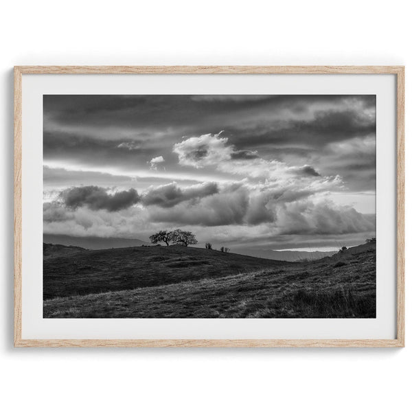A fine art black and white moody landscape photography print showing a lone tree standing atop a hill in California against a dramatic cloudy sky in this black and white fine art landscape wall art.