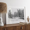 A fine art framed on unframed snowy forest print of forest and river all covered in snow. Taken near Lake Tahoe, California.