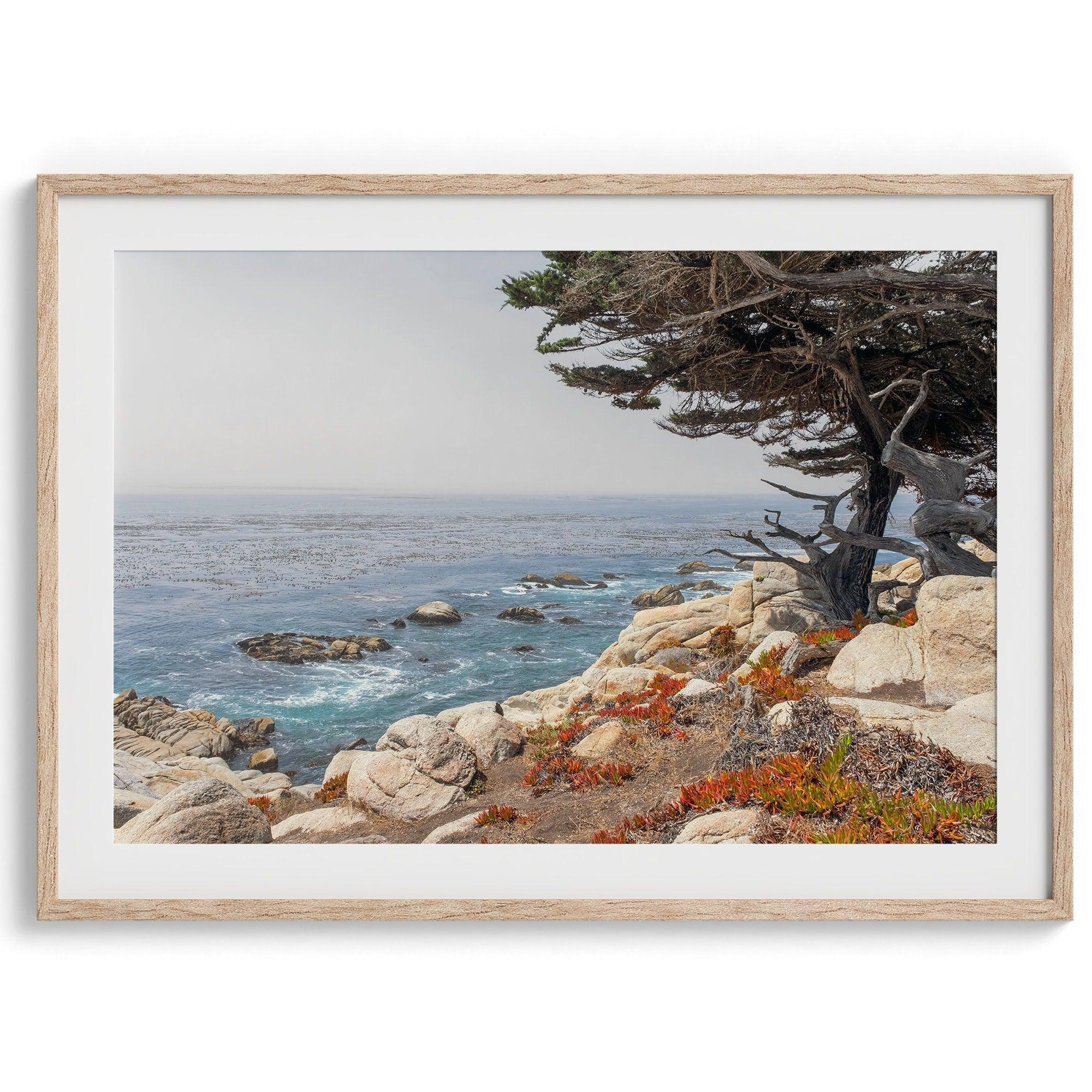 This stunning piece of art captures the beauty and drama of California's rugged coastline. This large framed or unframed ocean wall art showcases a large coastal tree overlooking the ocean near Monterey on Route 1.