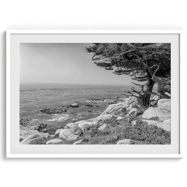 A framed or unframed coastal fine art photography print of a huge cypress tree overlooking the ocean. This black-and-white wall art shows the California rugged coastline in all its glory. Get this Ocean wall decor piece today.