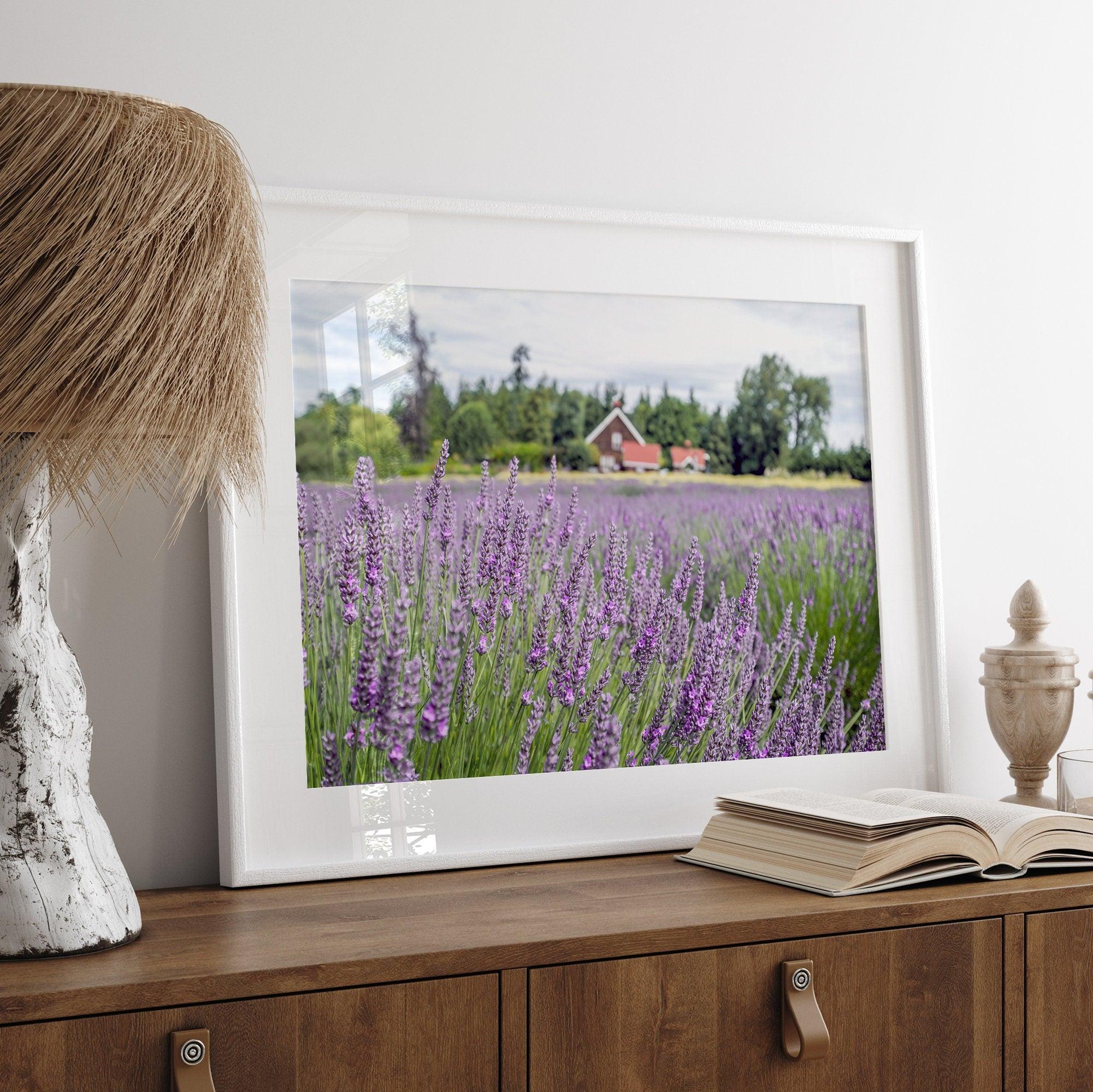 A fine art, colorful, vivid print of a lavender field stretching as far as the eye could see. Add purple and pink hues to your home or office with this floral wall art.