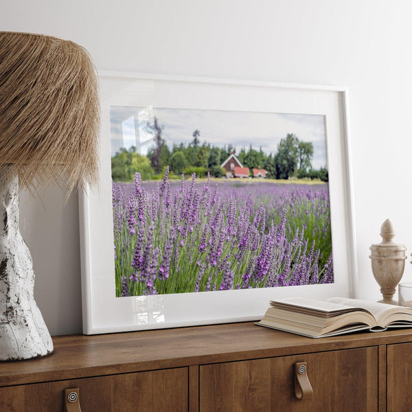 A fine art, colorful, vivid print of a lavender field stretching as far as the eye could see. Add purple and pink hues to your home or office with this floral wall art.