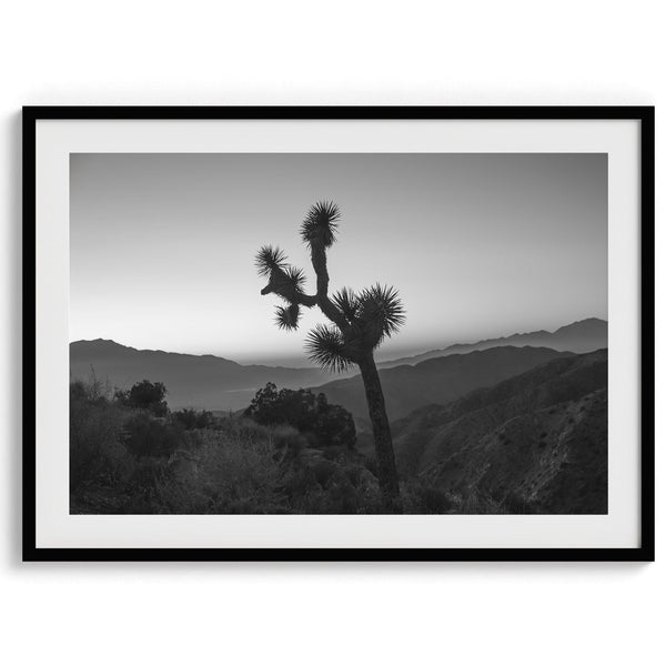 A fine art black and white desert print of a lone Joshua Tree against a sunset with the layered desert mountains behind it.