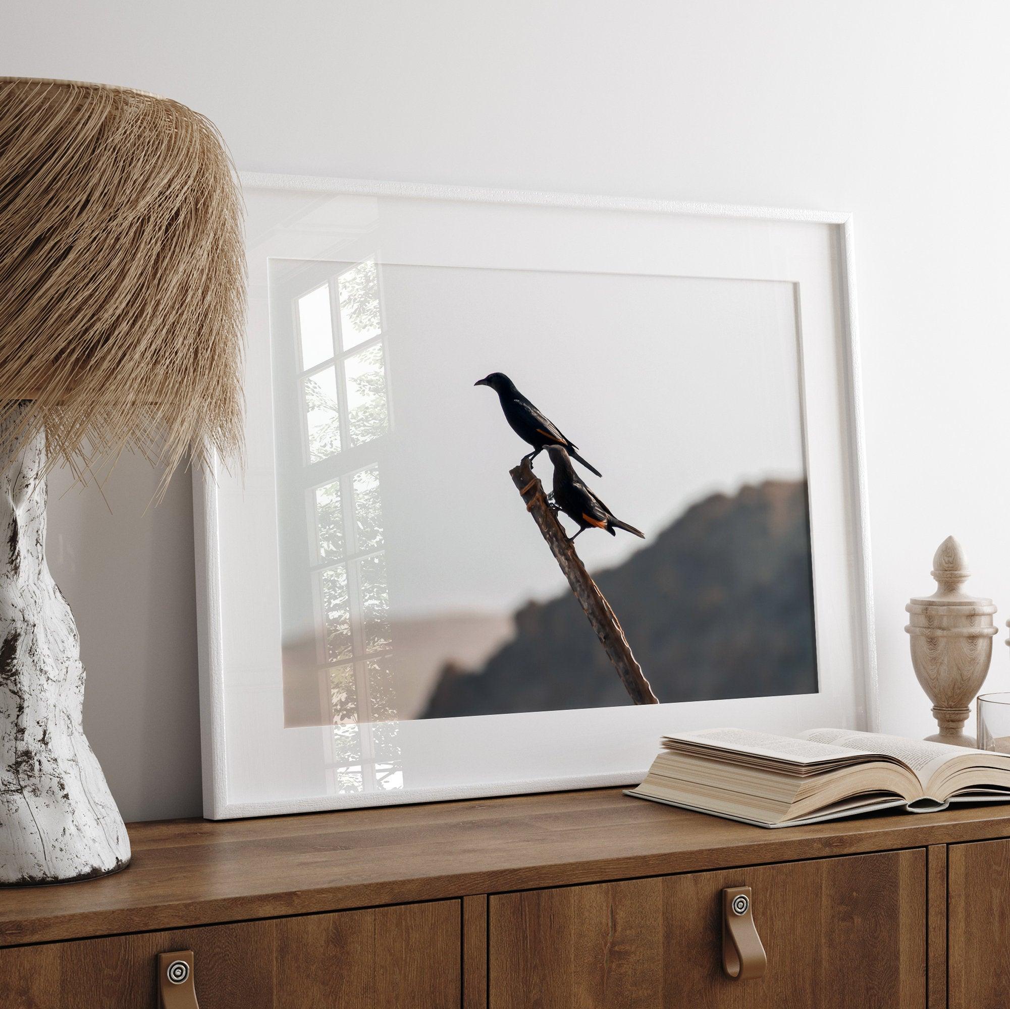 A fine art bird wall art of two birds on a branch in the desert in Israel close to the dead sea.