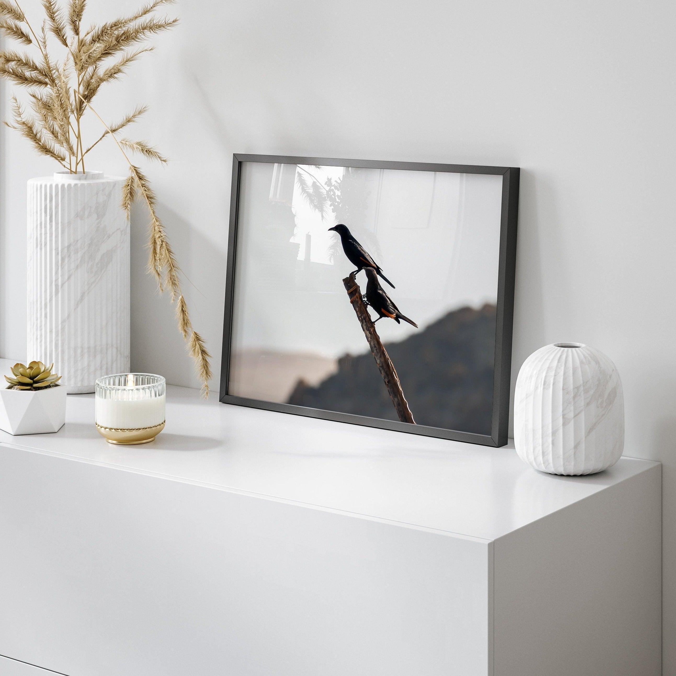 A fine art bird wall art of two birds on a branch in the desert in Israel close to the dead sea.