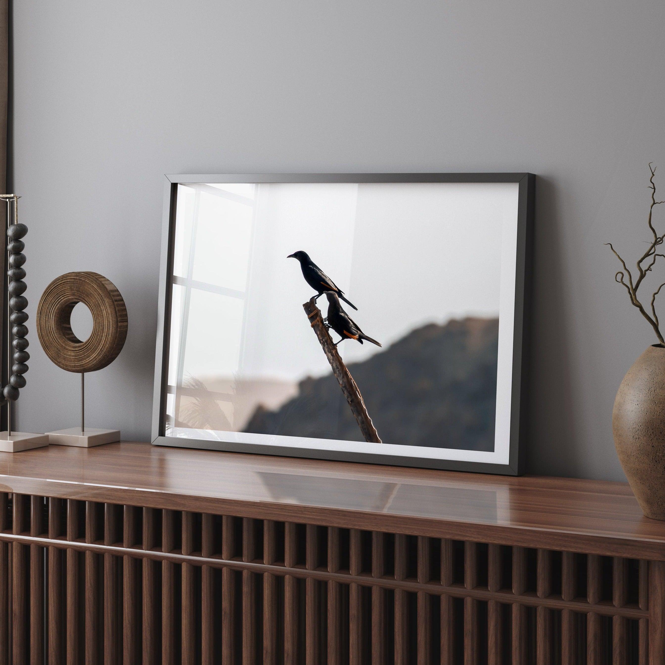 A fine art bird wall art of two birds on a branch in the desert in Israel close to the dead sea.