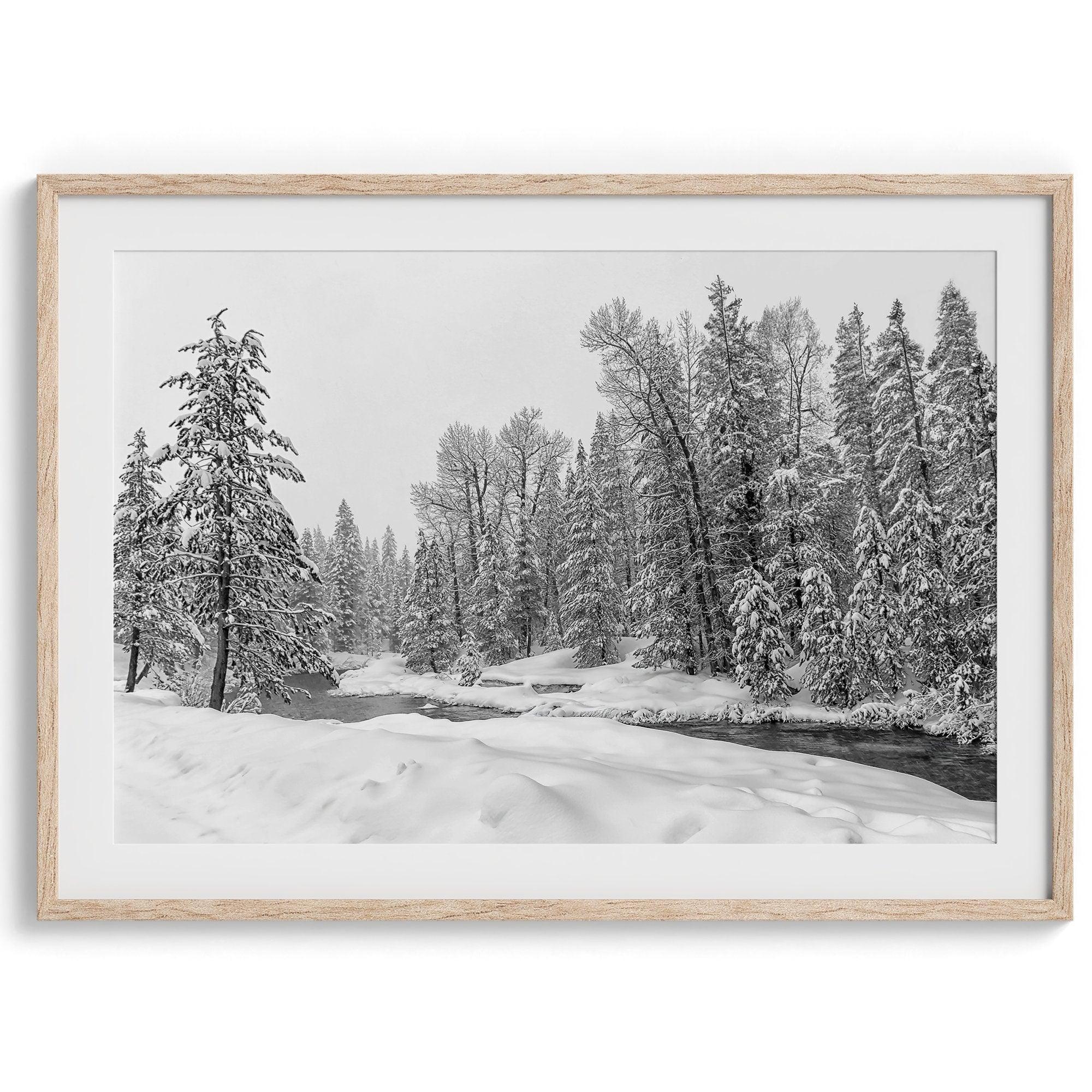 A fine art framed on unframed snowy forest print of forest and river all covered in snow. Taken near Lake Tahoe, California.