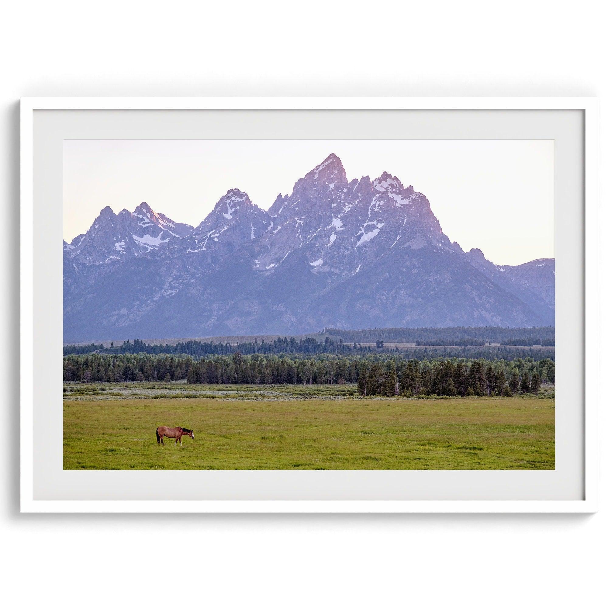 A stunning snow-covered mountain framed or unframed print from Grand Teton National Park with a beautiful horse grazing the grass in the forefront.