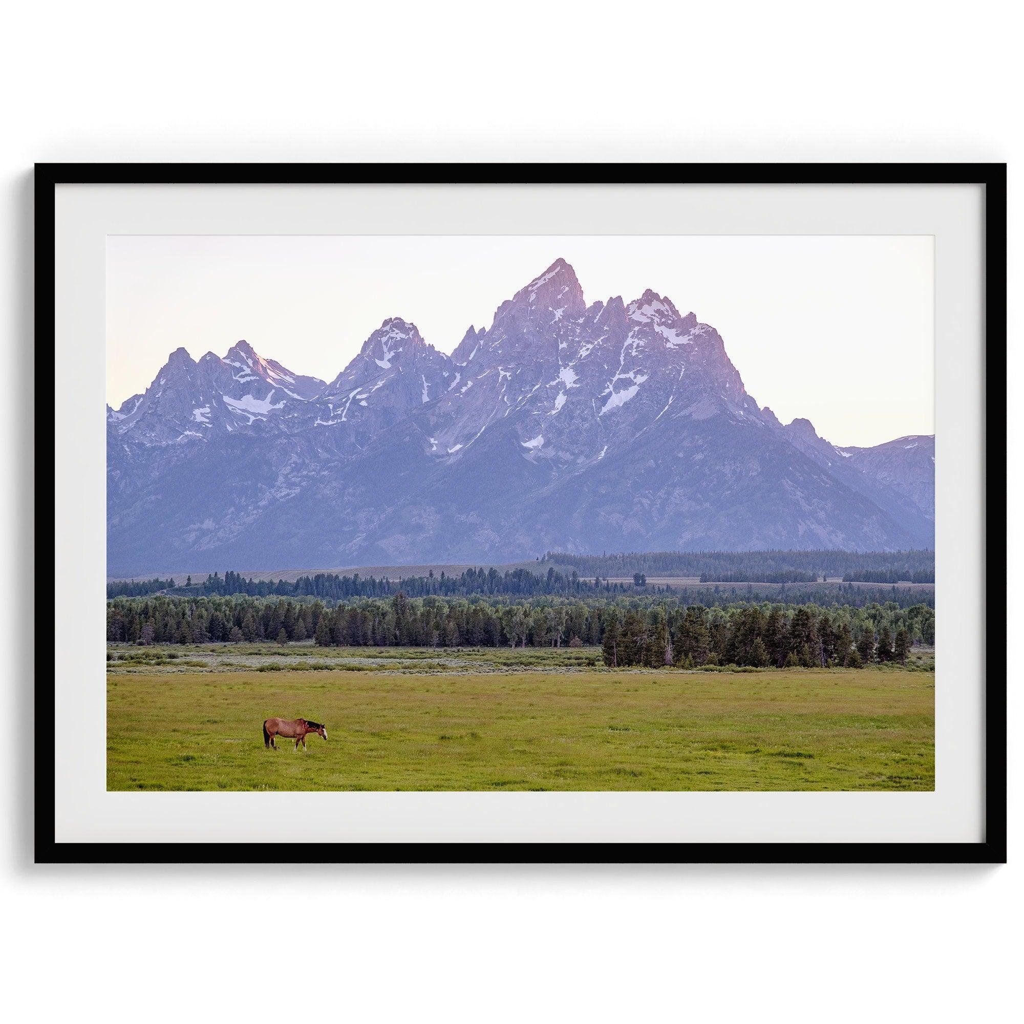 A stunning snow-covered mountain framed or unframed print from Grand Teton National Park with a beautiful horse grazing the grass in the forefront.