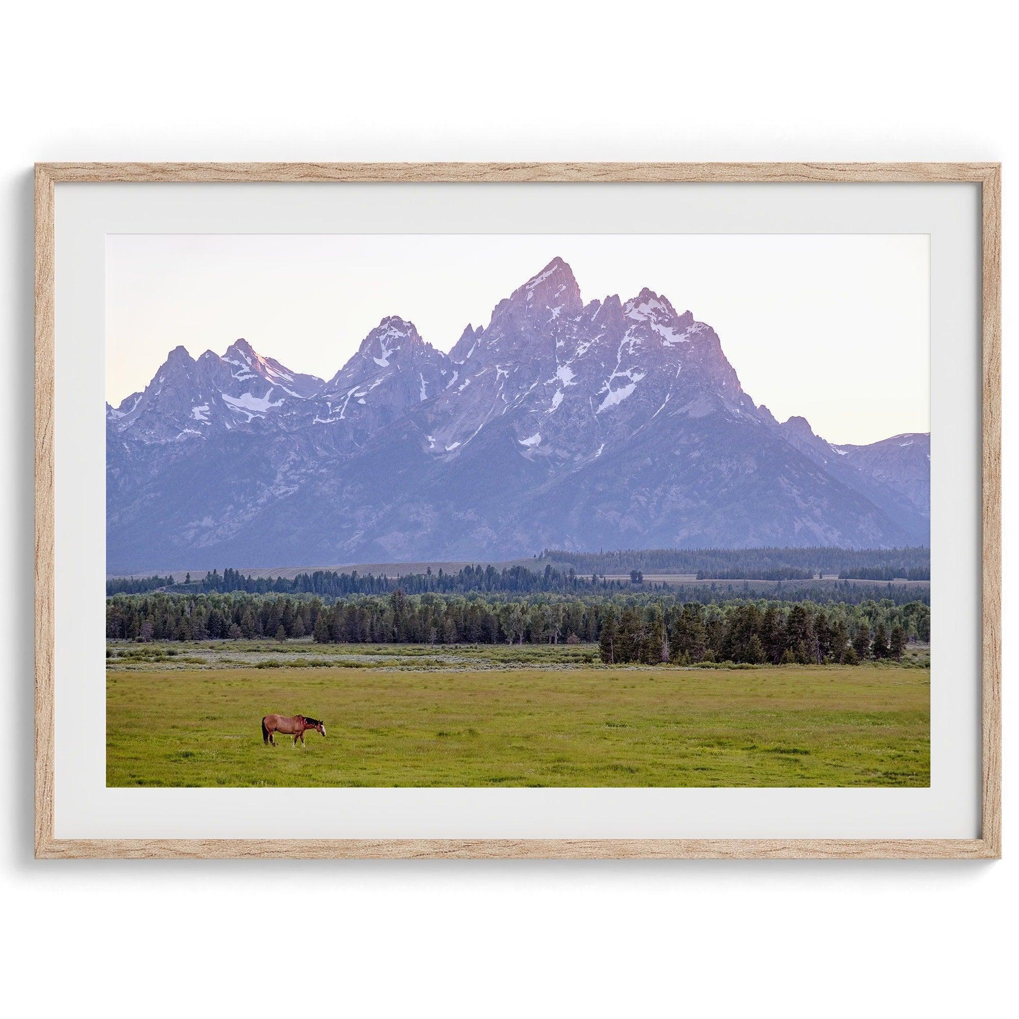 A stunning snow-covered mountain framed or unframed print from Grand Teton National Park with a beautiful horse grazing the grass in the forefront.