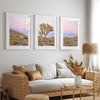 A wall art set of 3 framed or unframed Joshua Tree National Park prints. This desert wall art showcases a stunning Joshua Tree and the desert terrain and plants in a breathtaking Pink sunset filled with Pink and Purple hues. Modern gallery wall set