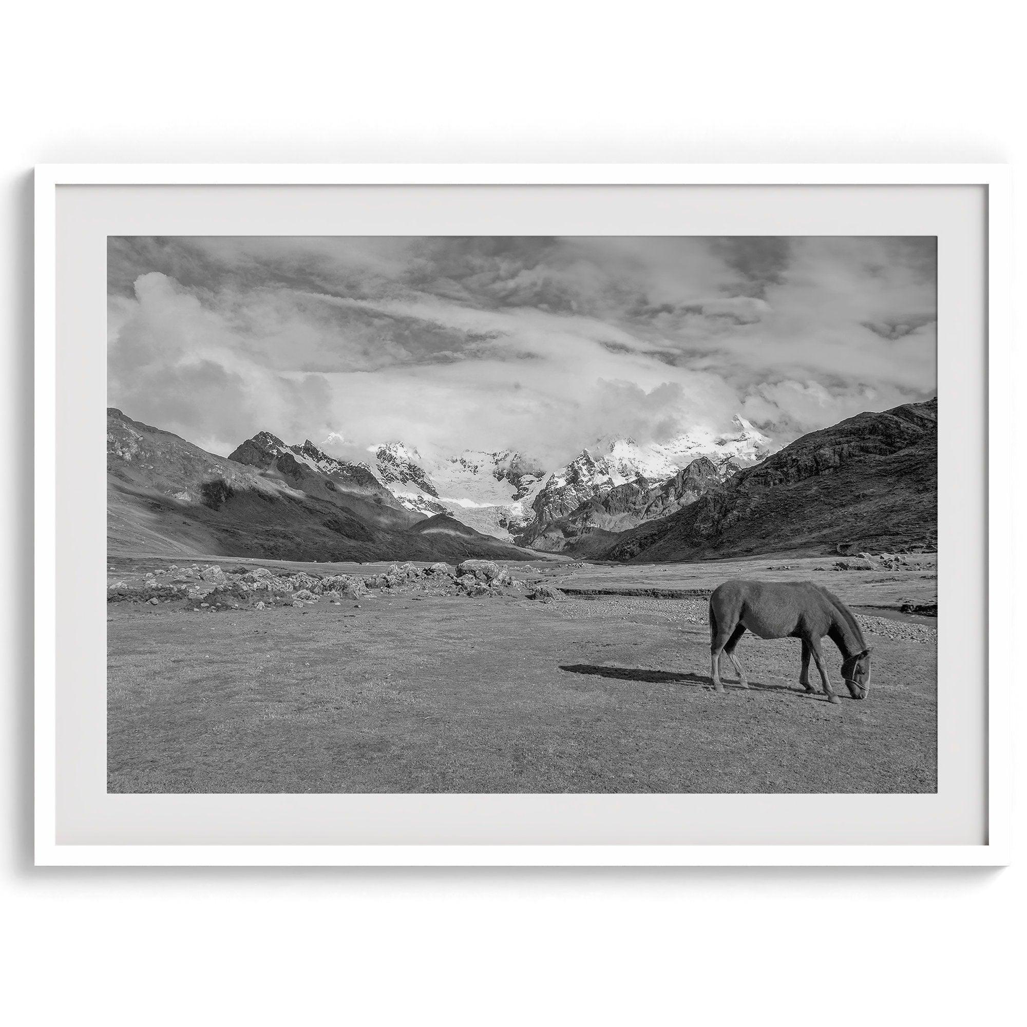 A black and white mountain horse fine art print that can come framed on unframed and was taken in Peru. This mountain wall art showcases snow-covered mountains in Peru and a charming horse grazing relaxingly in the forefront of the picture.