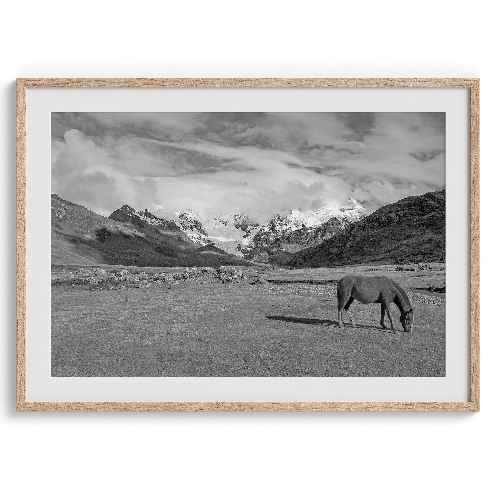 A black and white mountain horse fine art print that can come framed on unframed and was taken in Peru. This mountain wall art showcases snow-covered mountains in Peru and a charming horse grazing relaxingly in the forefront of the picture.