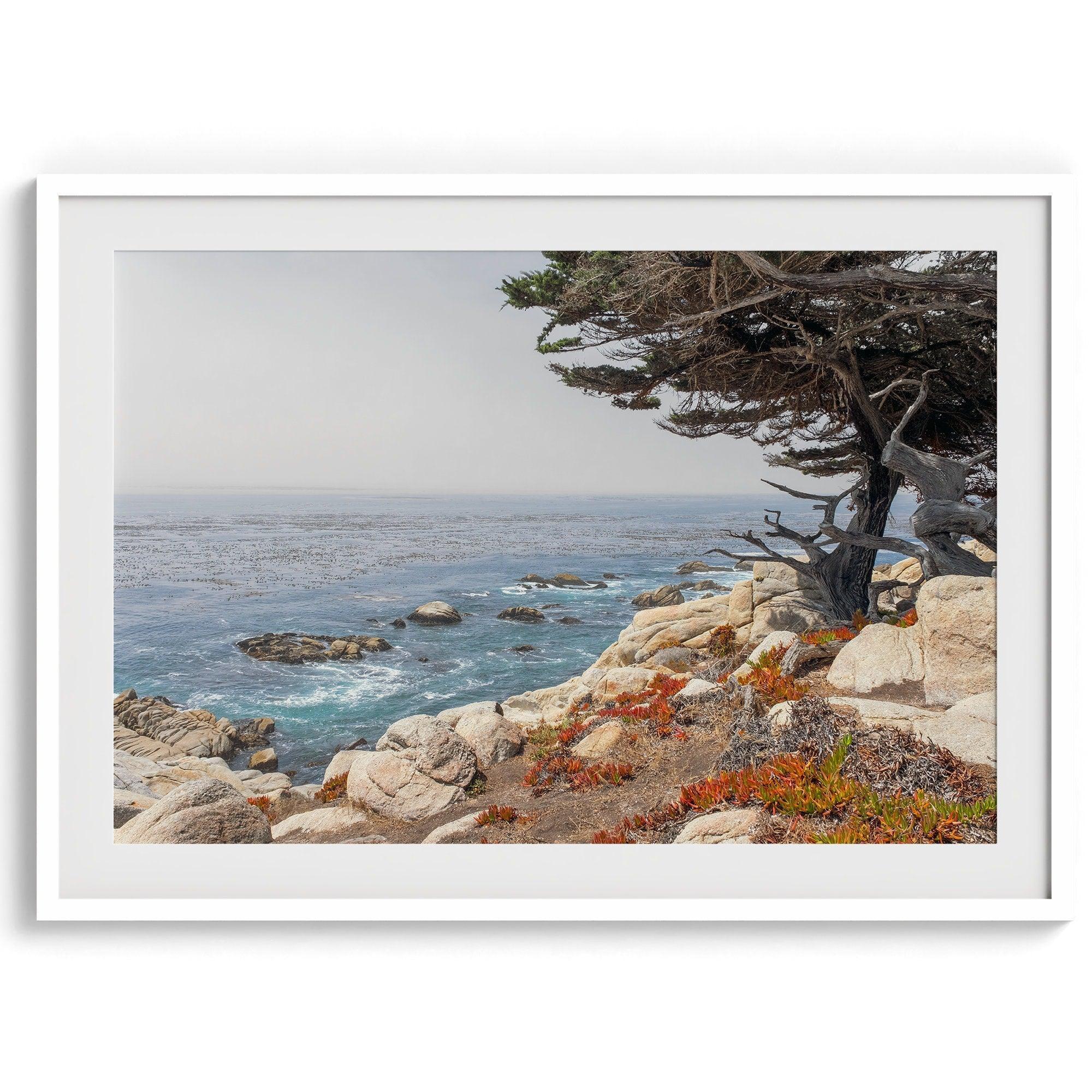 This stunning piece of art captures the beauty and drama of California's rugged coastline. This large framed or unframed ocean wall art showcases a large coastal tree overlooking the ocean near Monterey on Route 1.