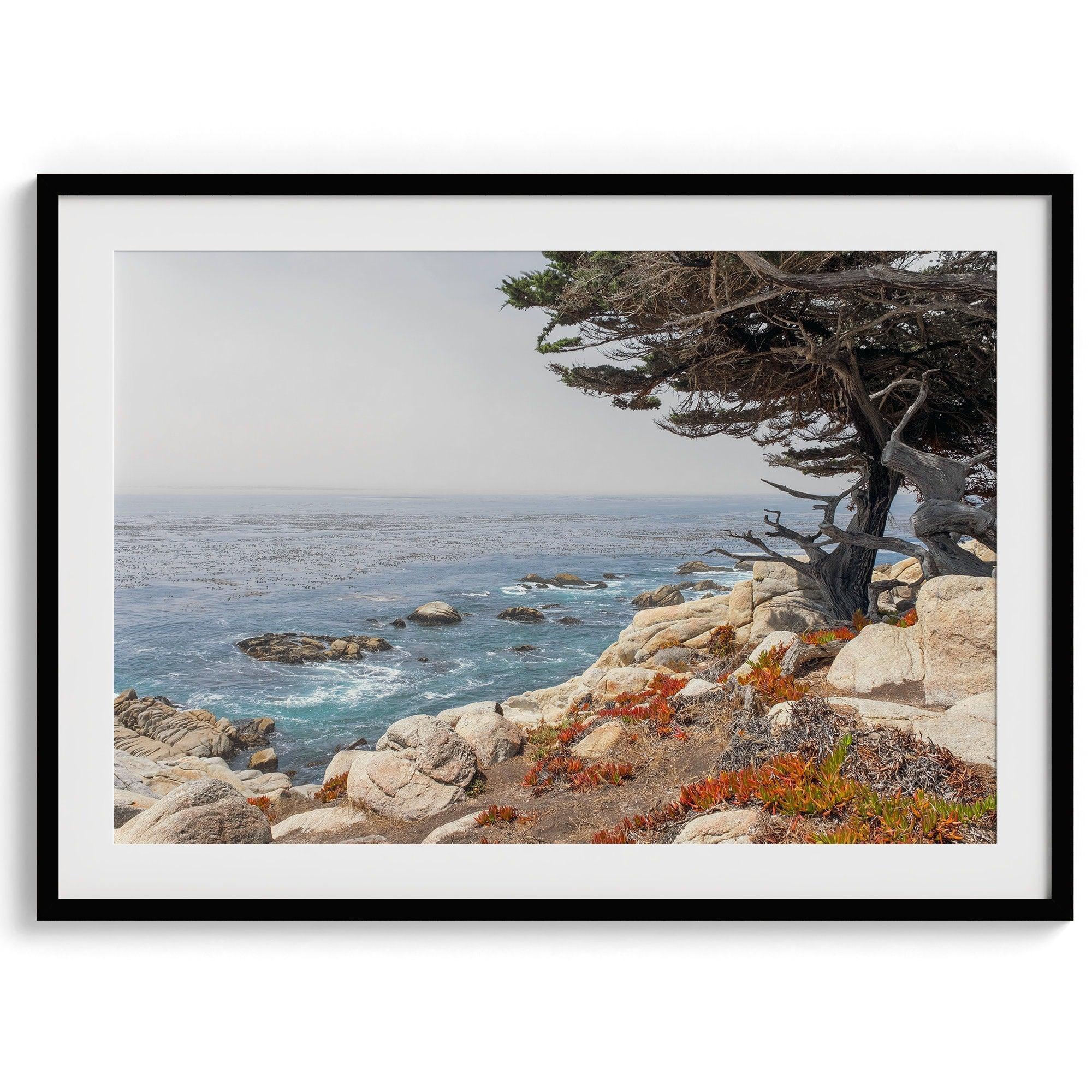 This stunning piece of art captures the beauty and drama of California's rugged coastline. This large framed or unframed ocean wall art showcases a large coastal tree overlooking the ocean near Monterey on Route 1.