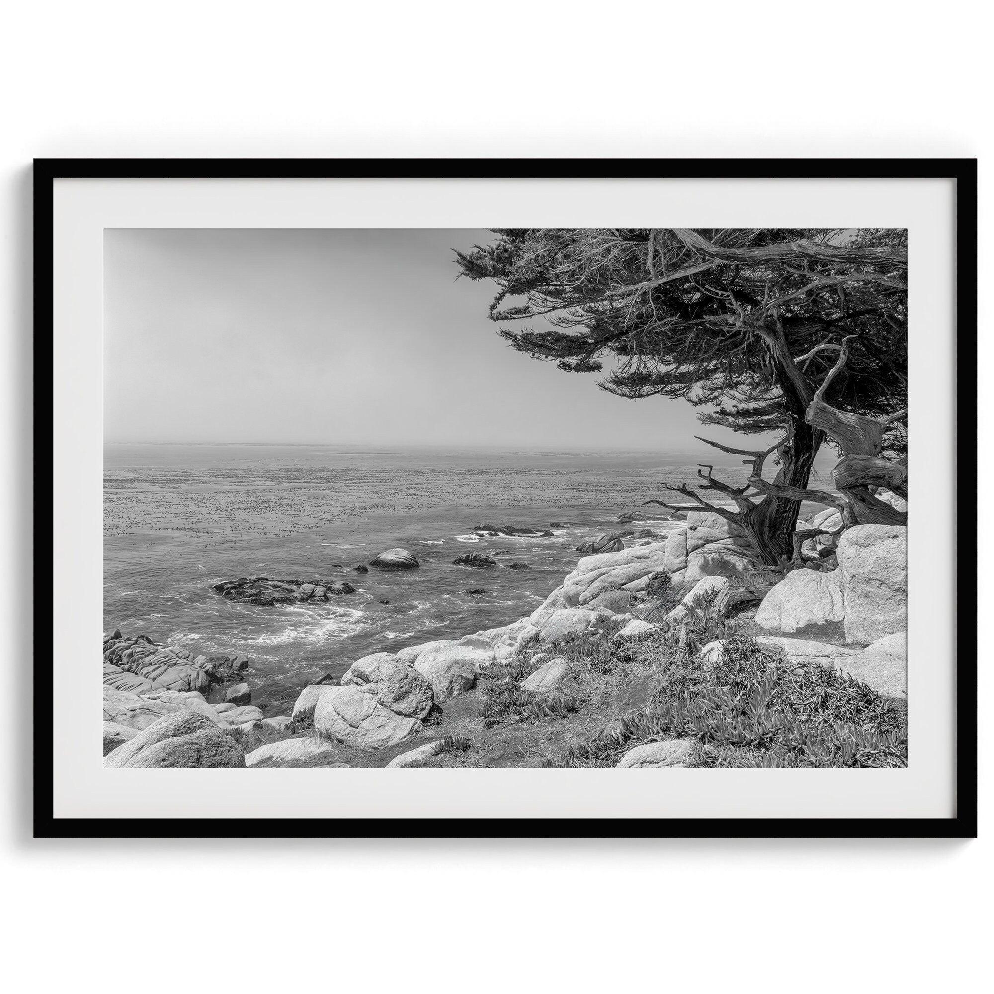 A framed or unframed coastal fine art photography print of a huge cypress tree overlooking the ocean. This black-and-white wall art shows the California rugged coastline in all its glory. Get this Ocean wall decor piece today.