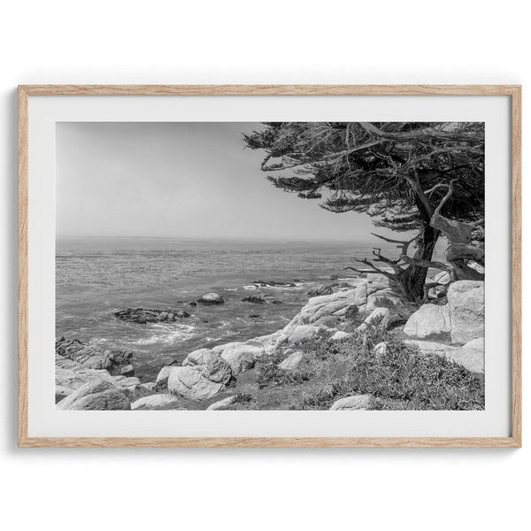 A framed or unframed coastal fine art photography print of a huge cypress tree overlooking the ocean. This black-and-white wall art shows the California rugged coastline in all its glory. Get this Ocean wall decor piece today.
