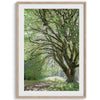 A fine art forest photography print of a magical tree in Hall of Mosses, Olympic National Park, Washington.