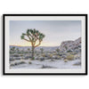 A fine art California desert print showcasing a lone Joshua Tree in the sunset with desert plantation and rocks.
