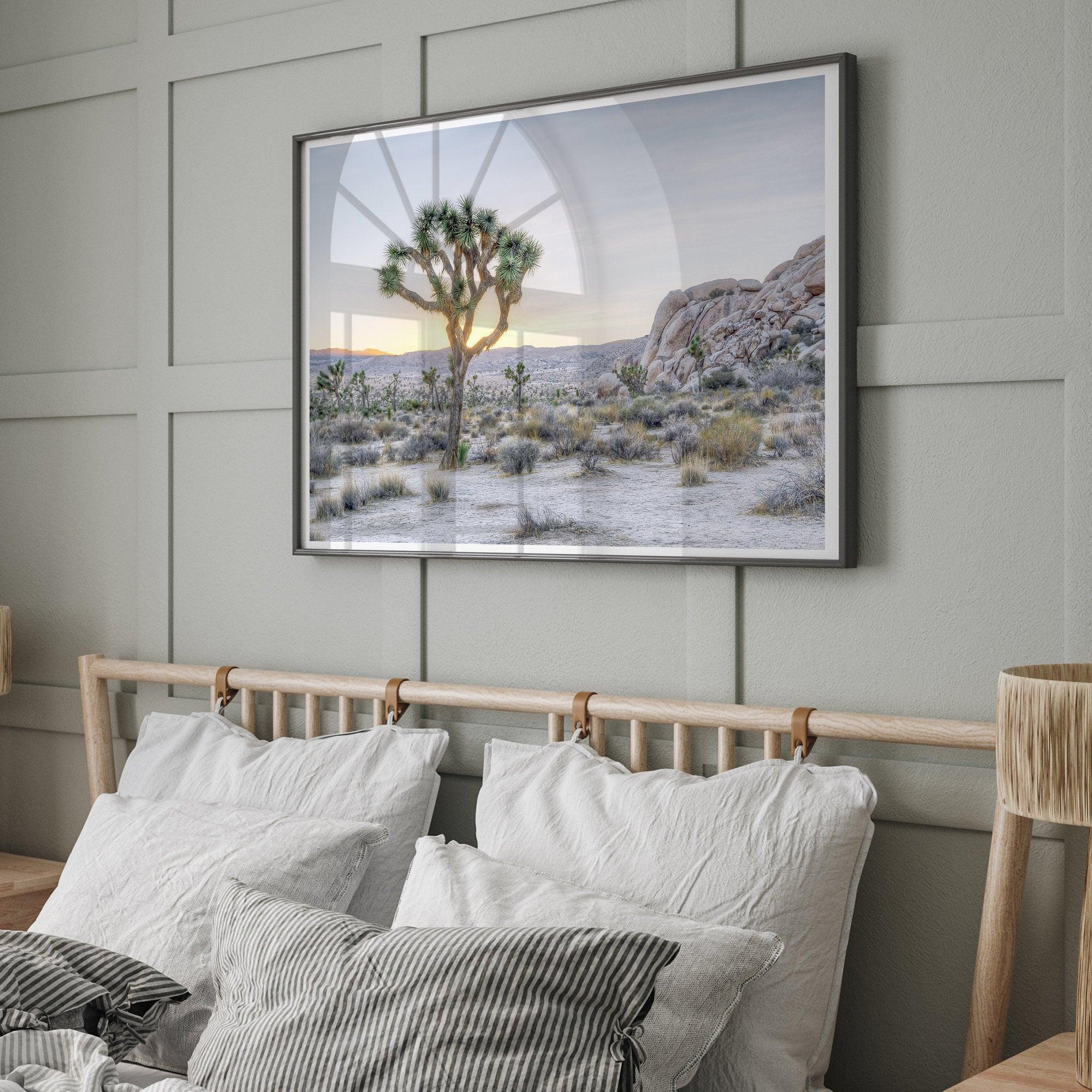 A fine art California desert print showcasing a lone Joshua Tree in the sunset with desert plantation and rocks.