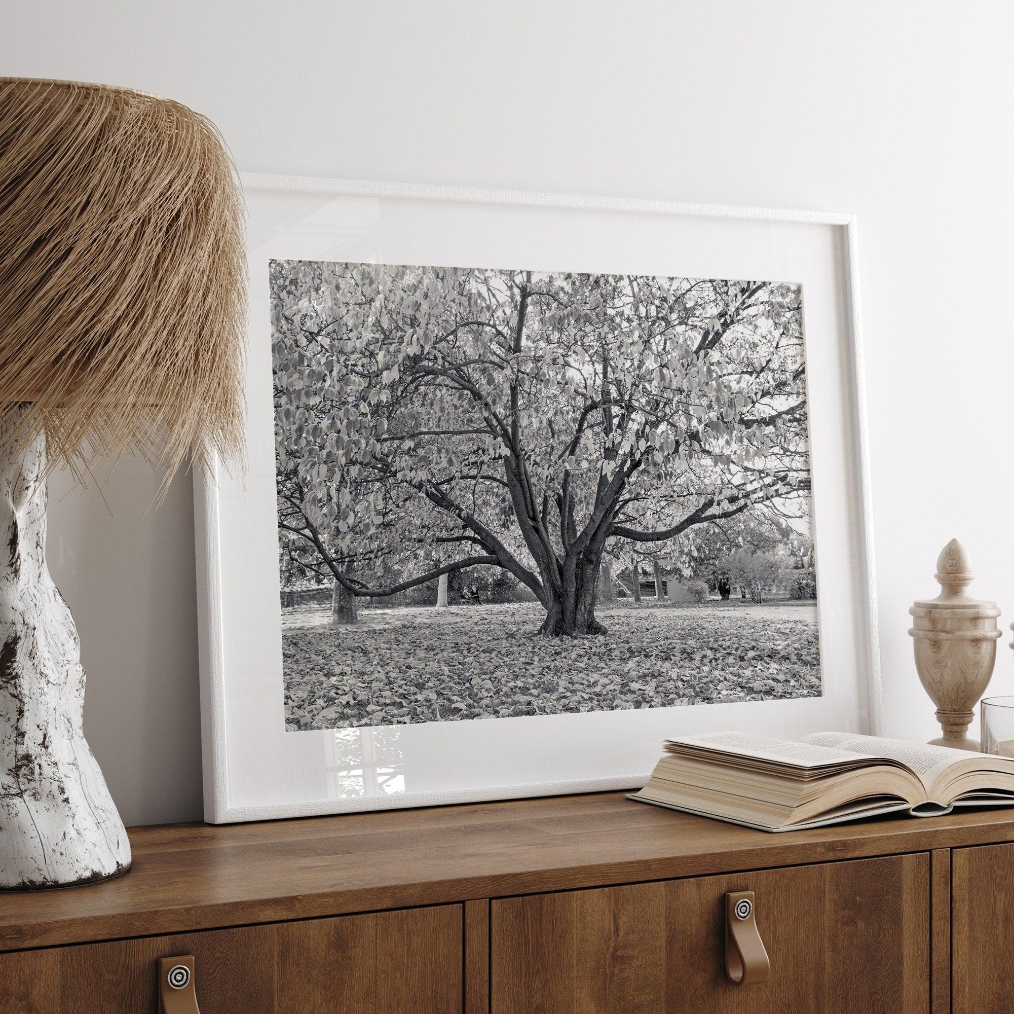 A framed or unframed fall print of a huge magical tree in Paris. This stunning Parisian tree wall art captures the serene beauty of the Parisian gardens in Autumn.