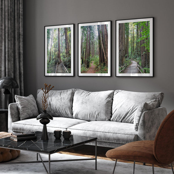 A set of three fine art California Redwood forest prints showcasing lush, stunning, and inspiring forest paths. Symbolizing the different paths we can take in life.