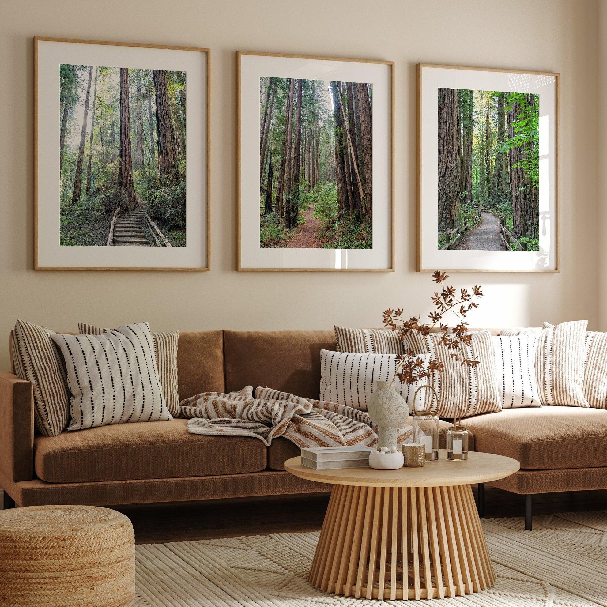 A set of three fine art California Redwood forest prints showcasing lush, stunning, and inspiring forest paths. Symbolizing the different paths we can take in life.