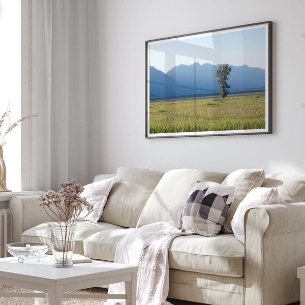 A fine art print showcasing a lone cottonwood tree during sunset in Grand Teton National Park. In this Nature wall art, the Teton mountains are shown layered in the backdrop with rays of sunset.