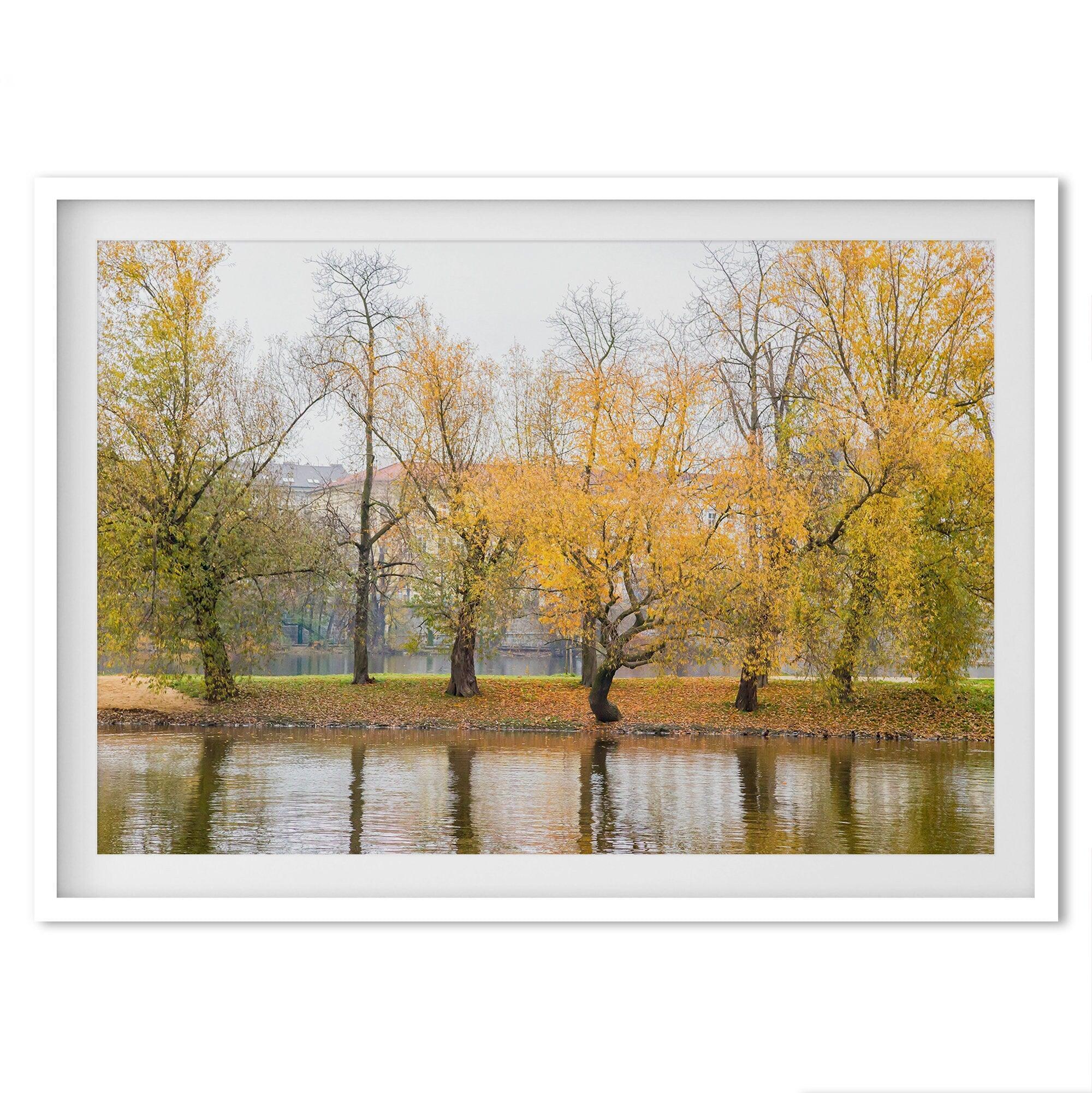 A fine art unframed or framed fall print from Prague featuring beautiful colorful trees with foliage on the canal.