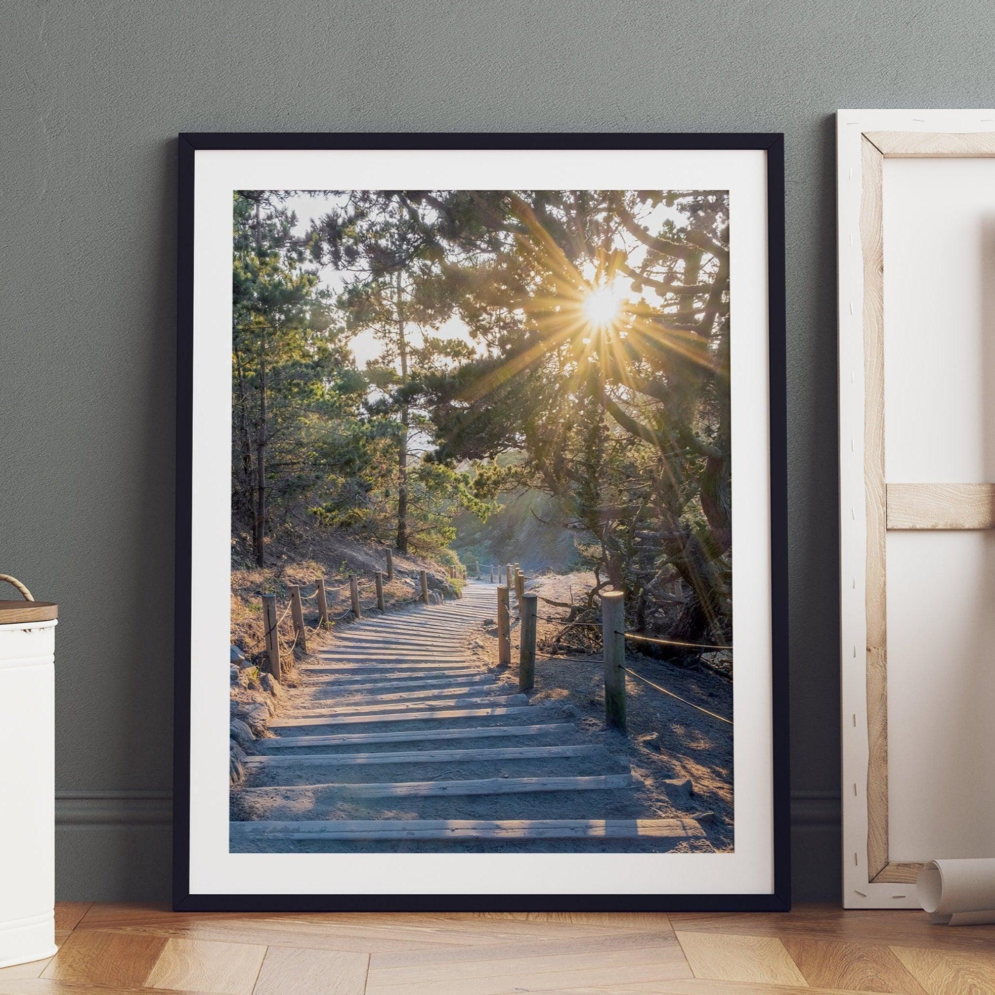 A fine art coastal forest sunset print from San Francisco Lands End. This wood path wall art comes framed or unframed.