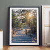 A fine art coastal forest sunset print from San Francisco Lands End. This wood path wall art comes framed or unframed.