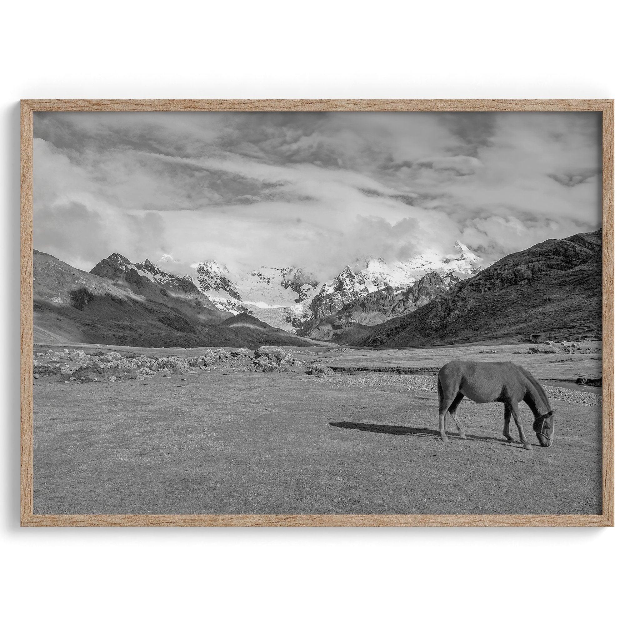 A black and white mountain horse fine art print that can come framed on unframed and was taken in Peru. This mountain wall art showcases snow-covered mountains in Peru and a charming horse grazing relaxingly in the forefront of the picture.