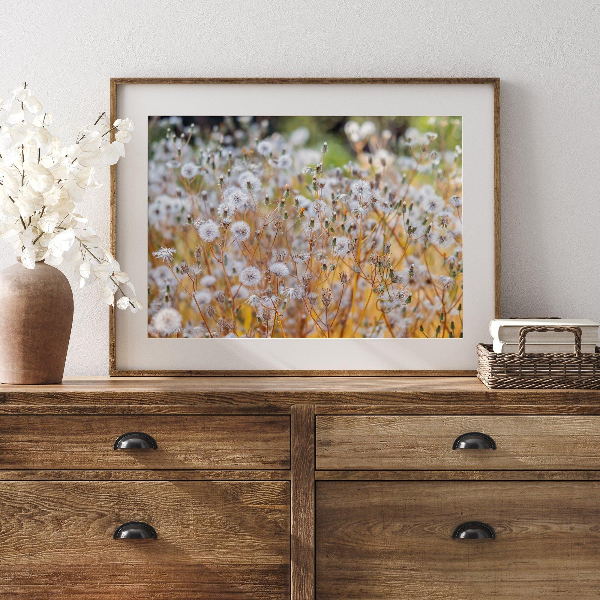 A fine art floral photography print with beautiful white flowers taken in the sunset.