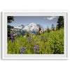 A framed or unframed fine art landscape photography print of Mount Rainier. This Washington wall art showcases a vast bed of flowers in the foreground with the backdrop of the snow-covered Mount Rainier. Perfect as a Mt Rainier National Park poster