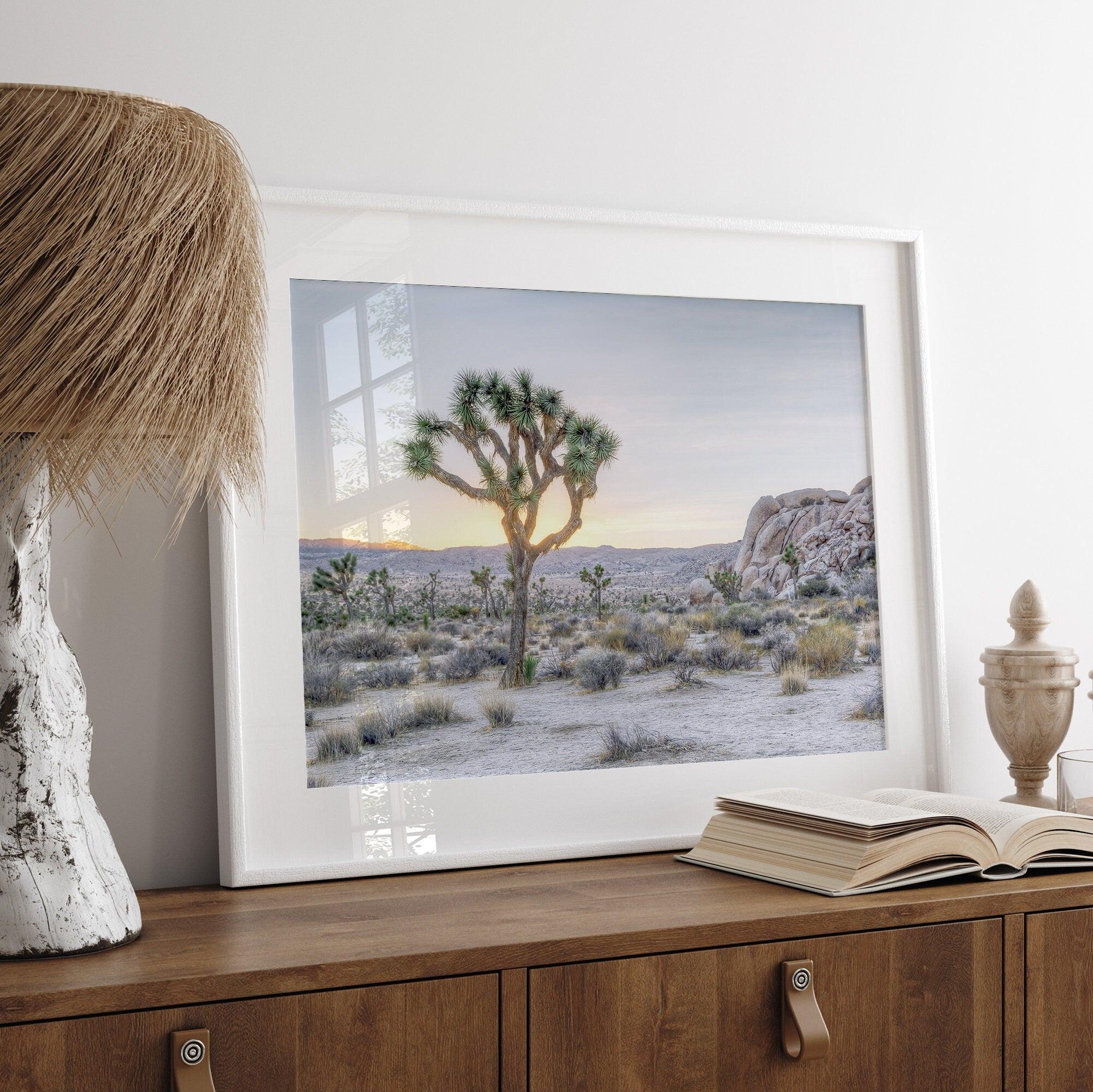 A fine art California desert print showcasing a lone Joshua Tree in the sunset with desert plantation and rocks.