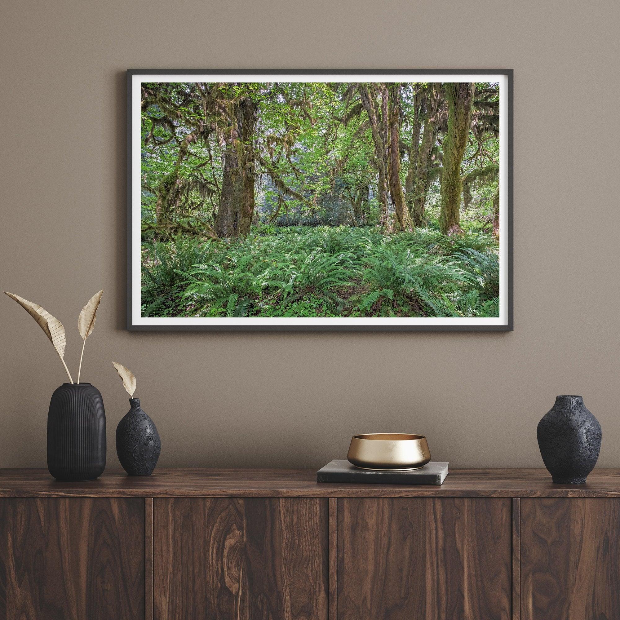 A fine art forest print showcasing the mystical and magical forest of Hall of Mosses in Olympic National Park, Washington.