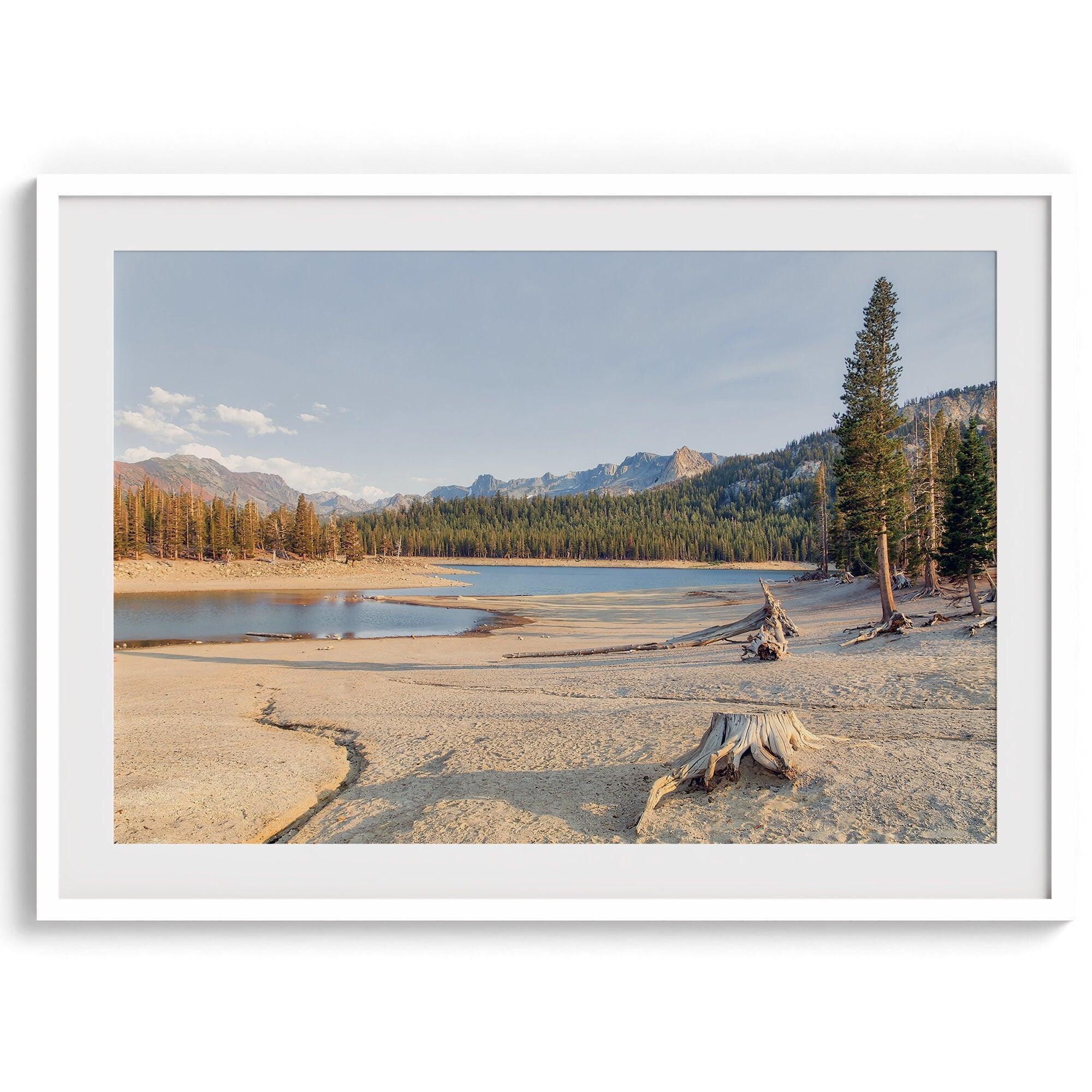 A framed lake print capturing the unique landscape of Horseshoe Lake in the Mammoth Lakes area. This Pacific Northwest wall art showcases the barren ground around the lake and the lush forests and majestic mountains of the Eastern Sierra region.