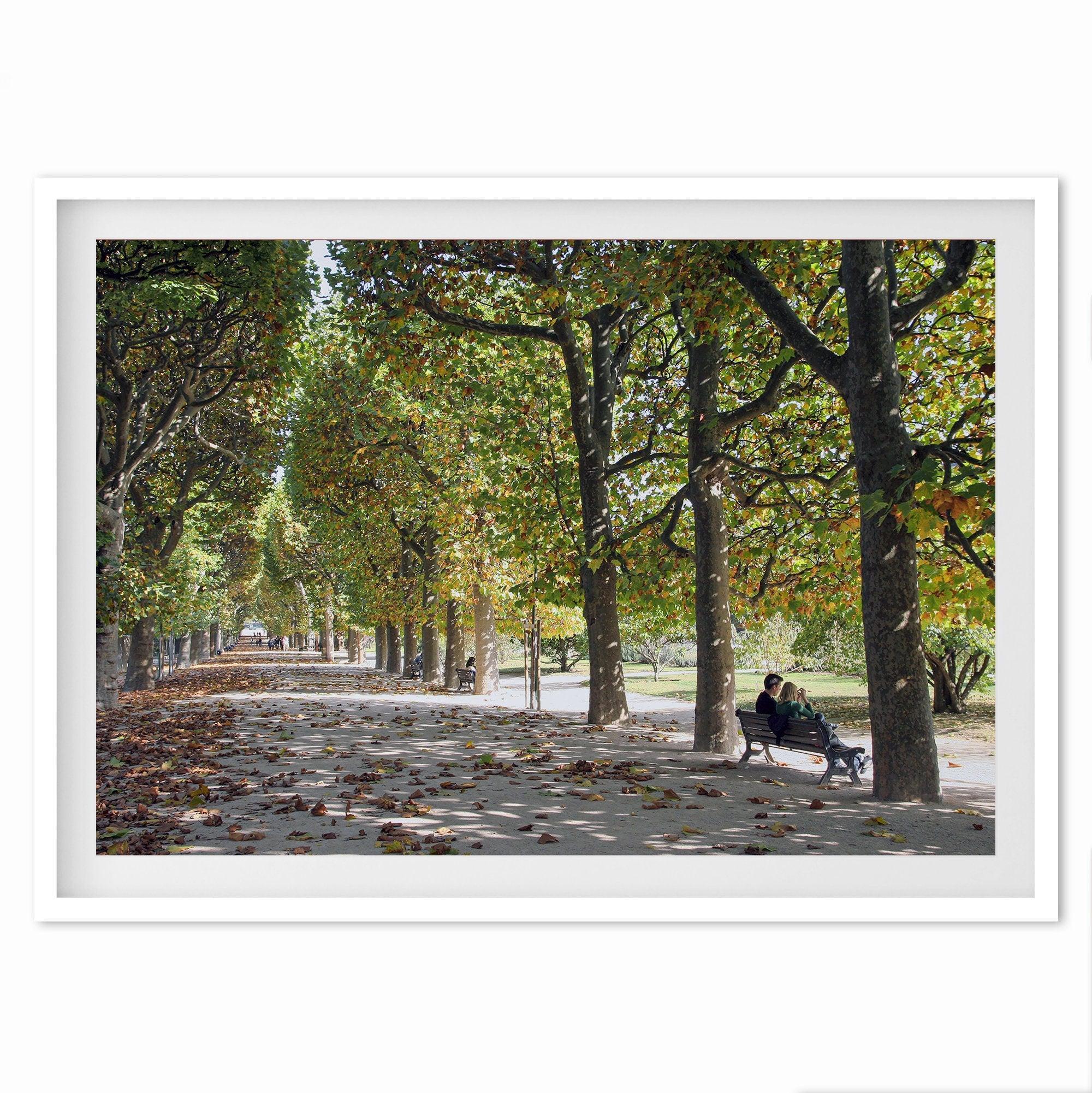 A fine art Paris print of a Parisian garden in fall showcasing a couple sitting on a bench under the fall color trees with foliage all around.