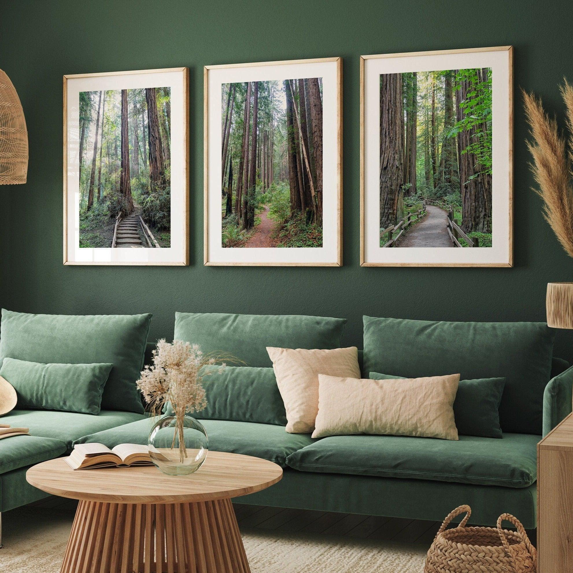 A set of three fine art California Redwood forest prints showcasing lush, stunning, and inspiring forest paths. Symbolizing the different paths we can take in life.