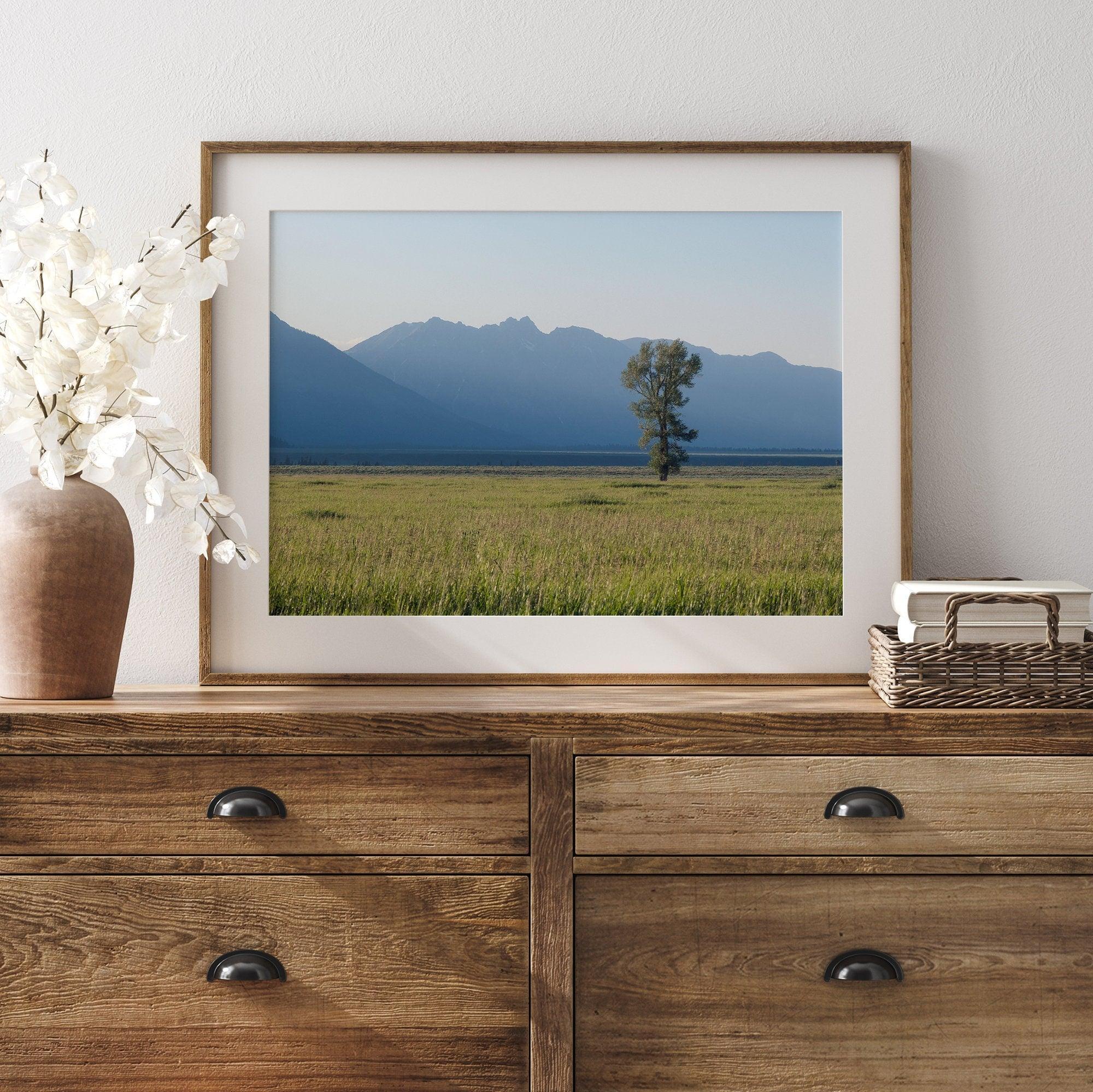 A fine art print showcasing a lone cottonwood tree during sunset in Grand Teton National Park. In this Nature wall art, the Teton mountains are shown layered in the backdrop with rays of sunset.