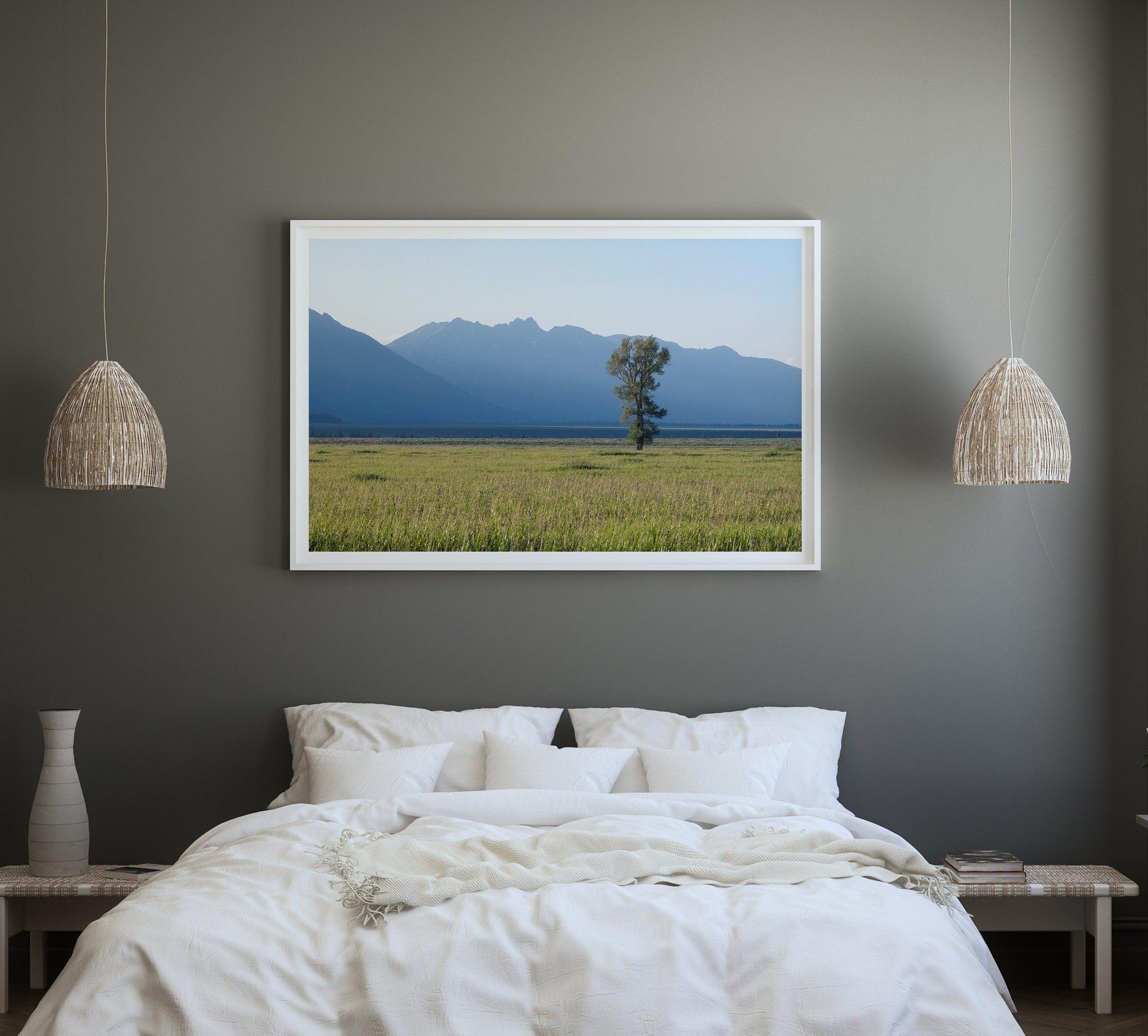 A fine art print showcasing a lone cottonwood tree during sunset in Grand Teton National Park. In this Nature wall art, the Teton mountains are shown layered in the backdrop with rays of sunset.